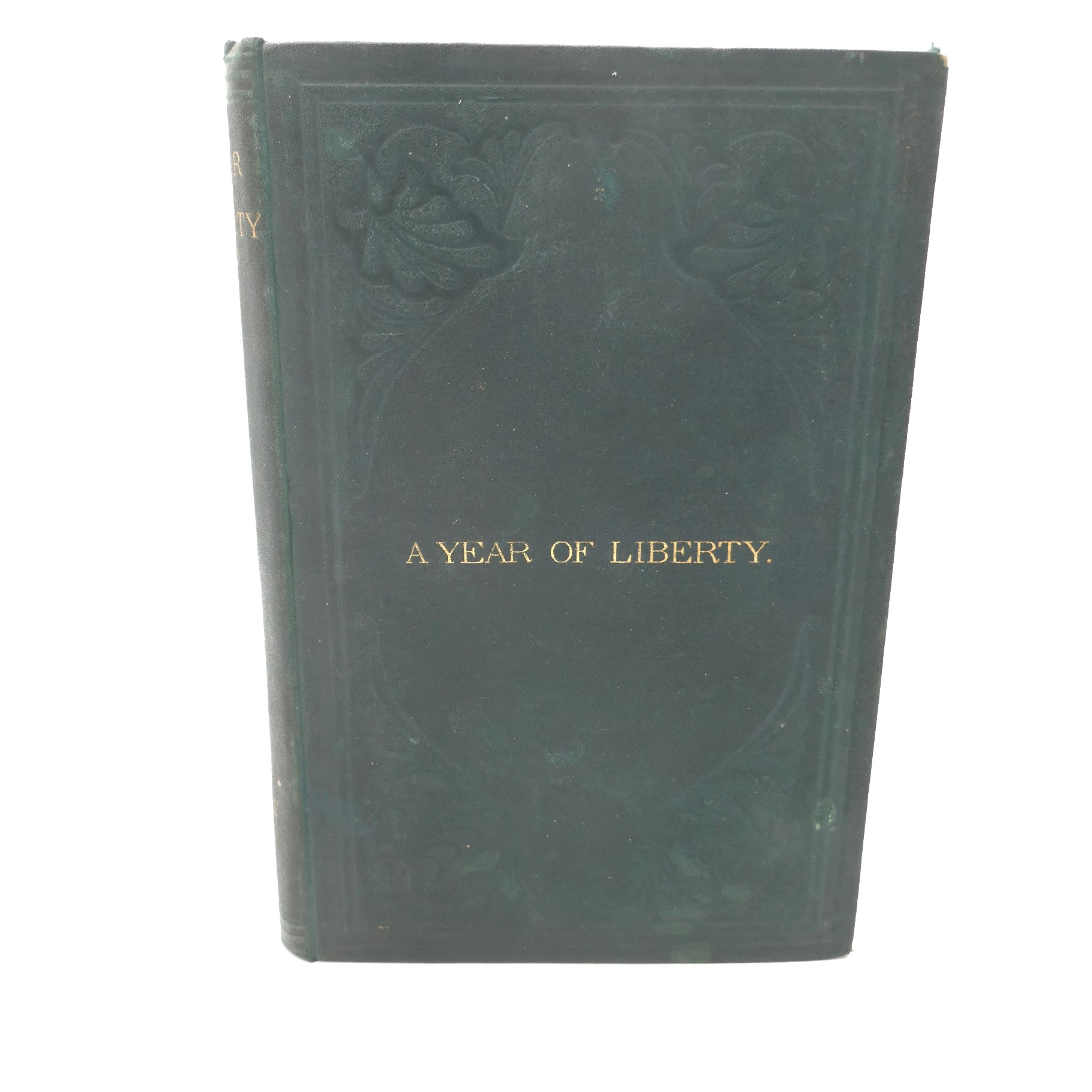 A Year Of Liberty Or Salmon Angling In Ireland (1867)