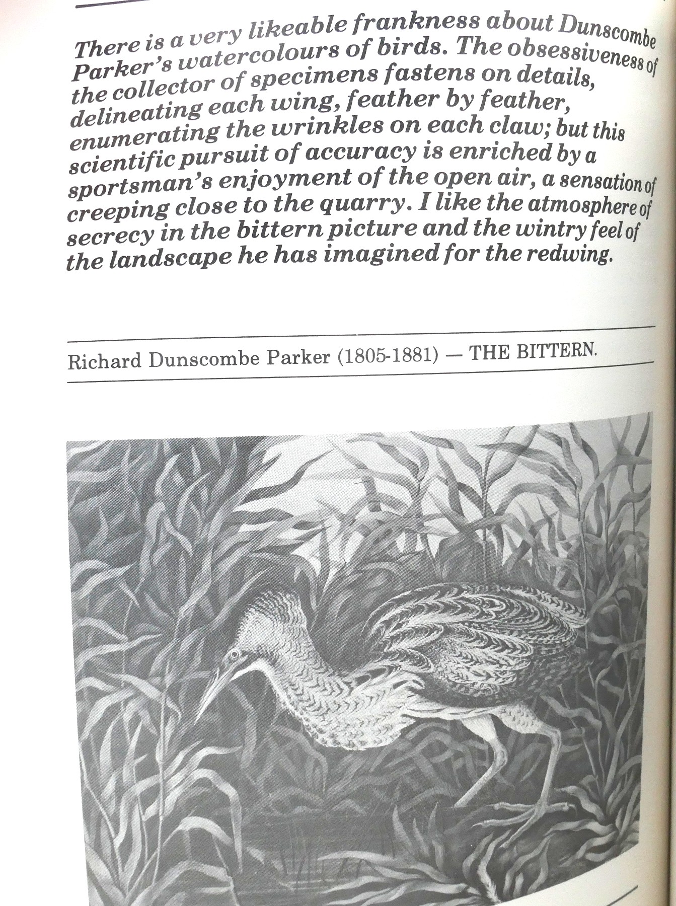 A Personal Selection. Exhibition Catalogue (1982) - Image 4