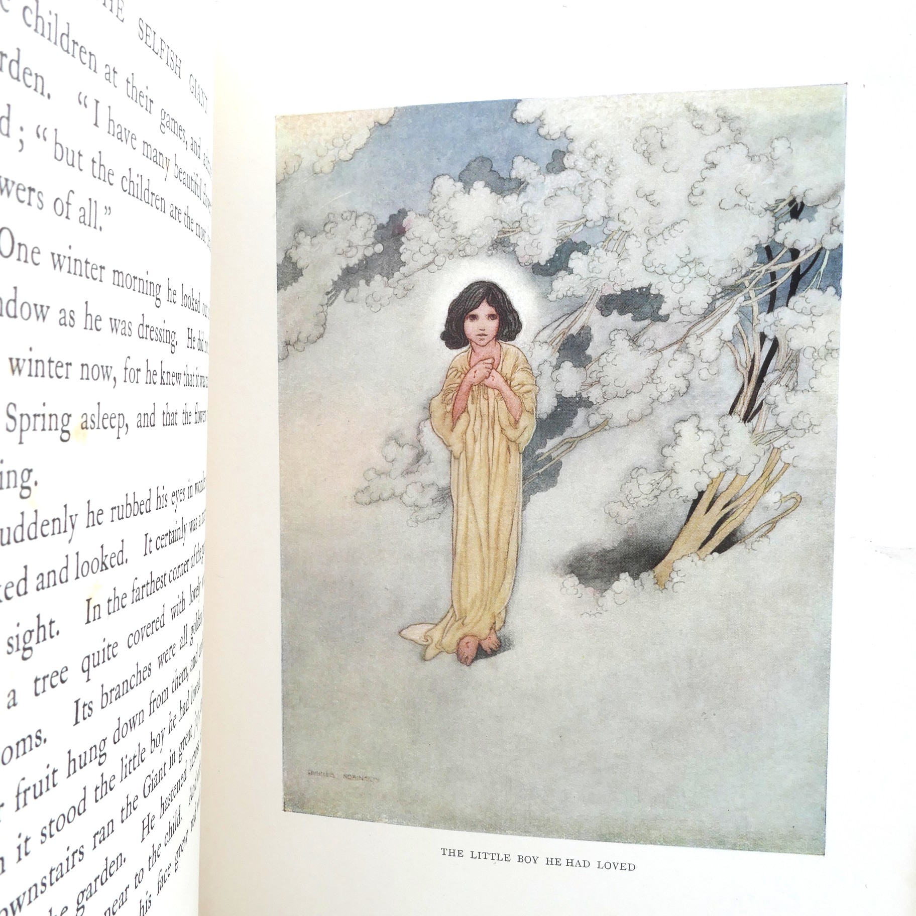 The Happy Prince and Other Stories. Illustrated By Charles Robinson (1920) - Image 5