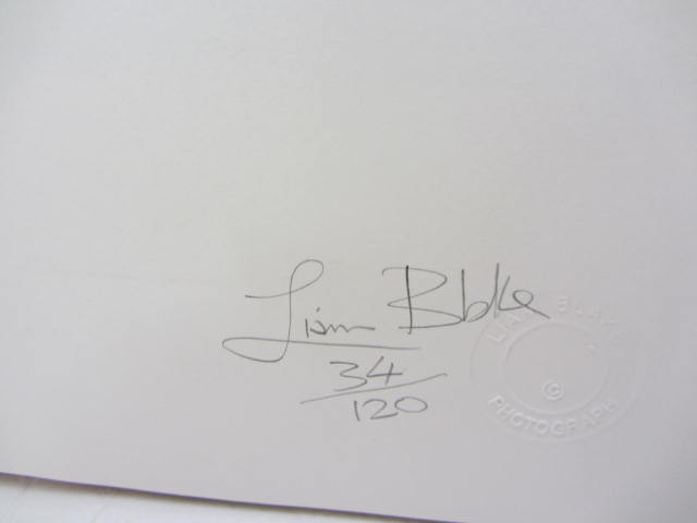 The Dark Pool. Photographs by Liam Blake. Limited Edition of 120 Copies - Image 2