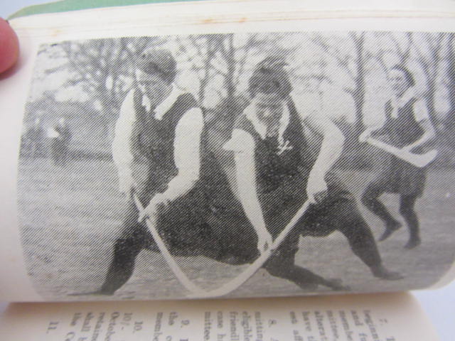 Official Guide and Rules of the Game (Camogie) - Image 3