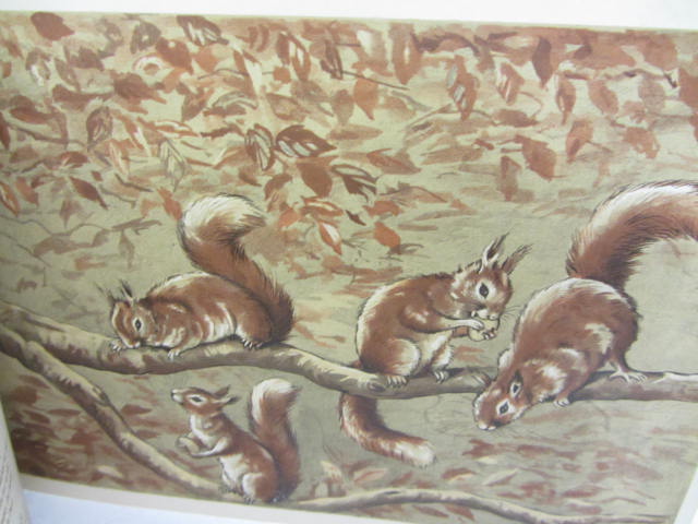 The Hole and Corner Book. - Image 3