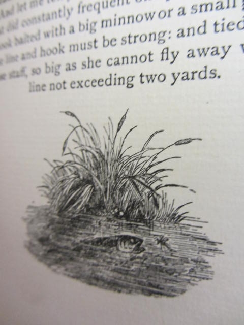The Compleat Angler. Illustrations by W. Lee Hankey (1913) - Image 7