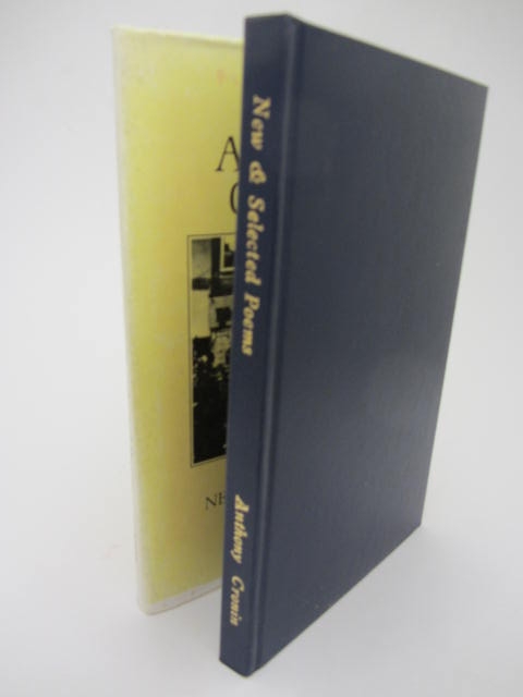 New and Selected Poems. Dublin: Raven Arts, 1982. - Image 3