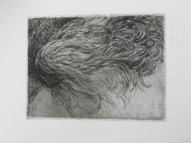 The North. Limited Edition Portfolio (1972) - Image 7