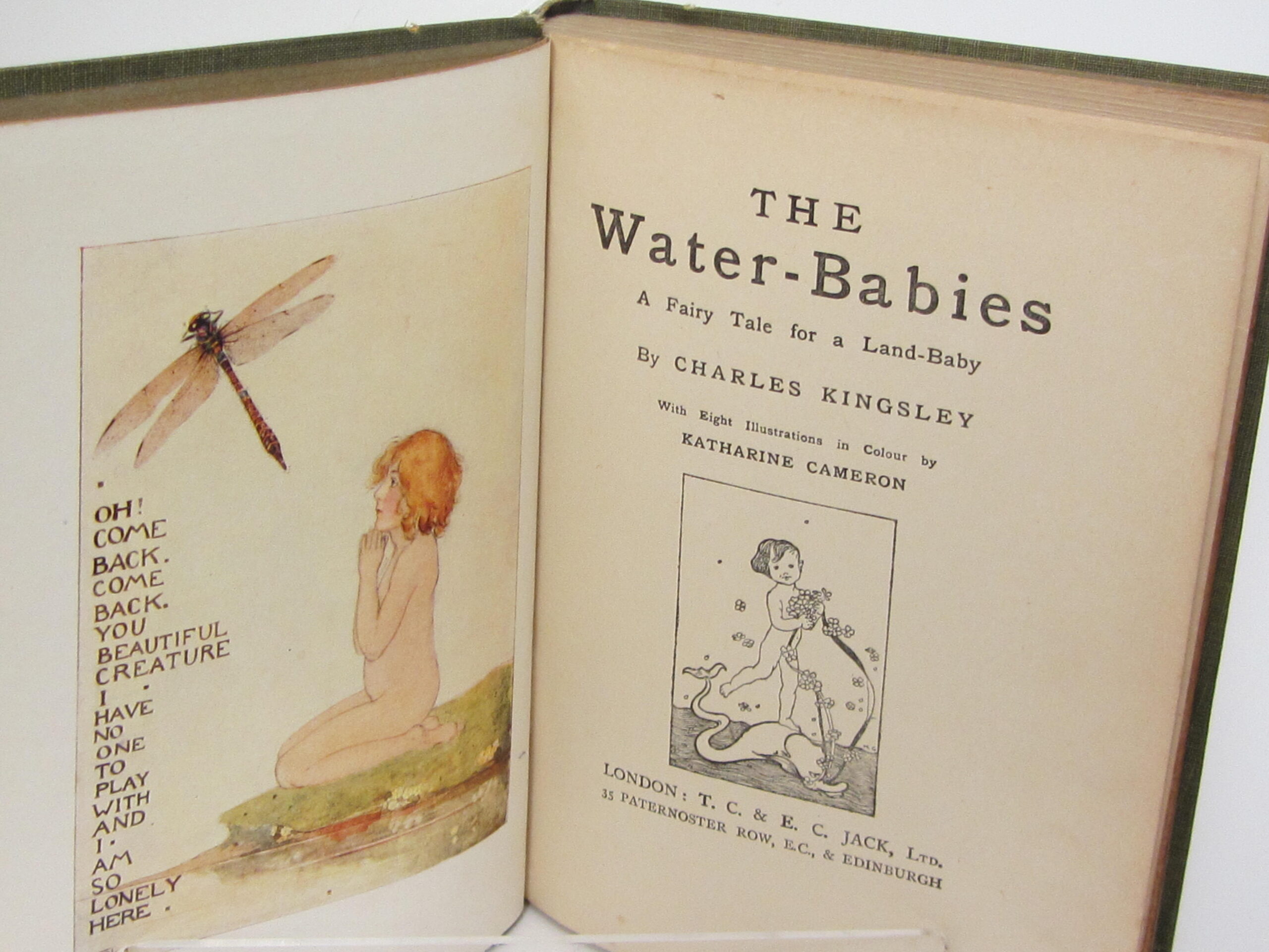 The Water Babies. A Fairy Tale of a Land-Baby (1920) - Image 3