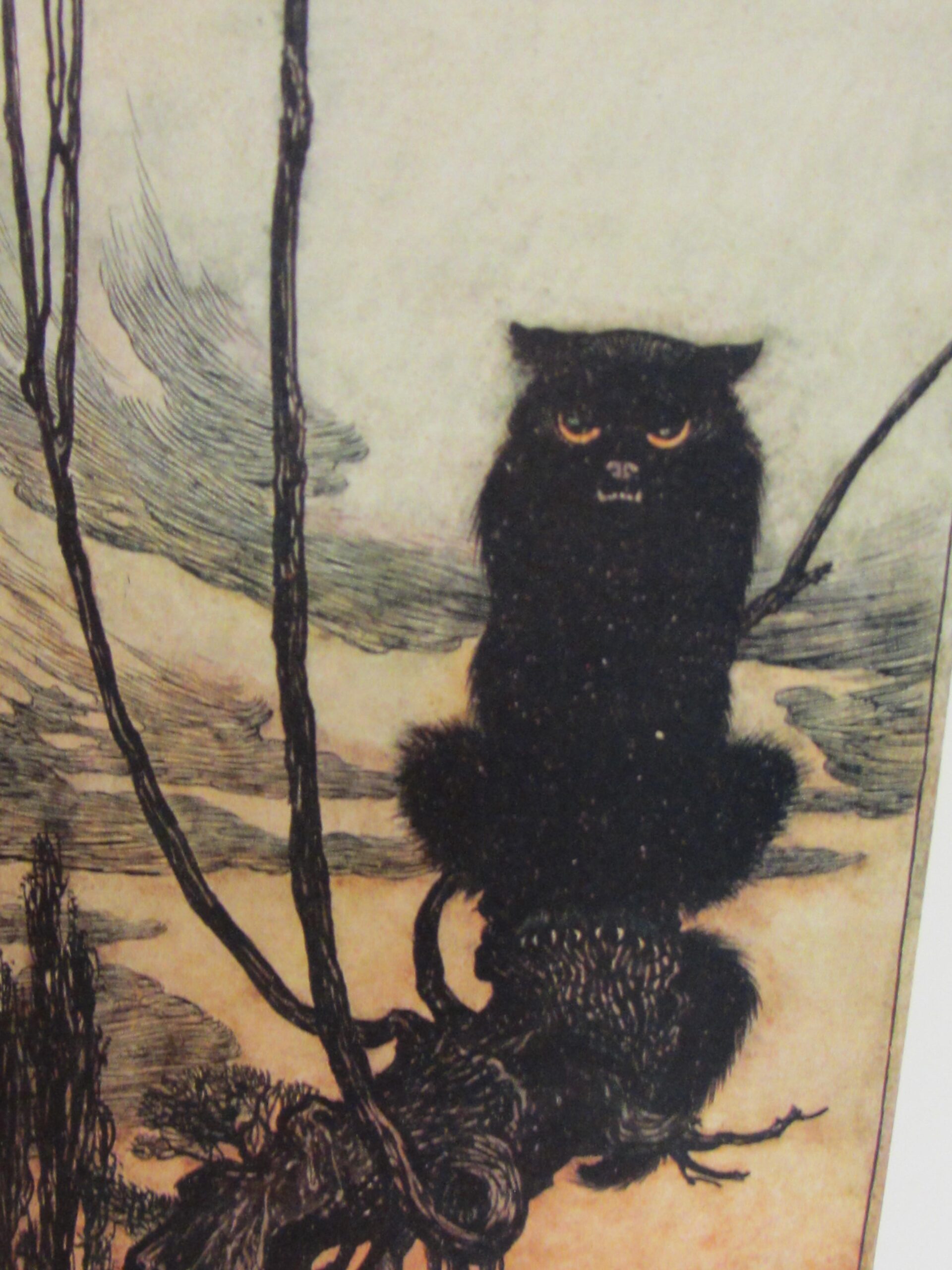 Fairy Tales. Illustrated by Arthur Rackham (1916) - Image 6
