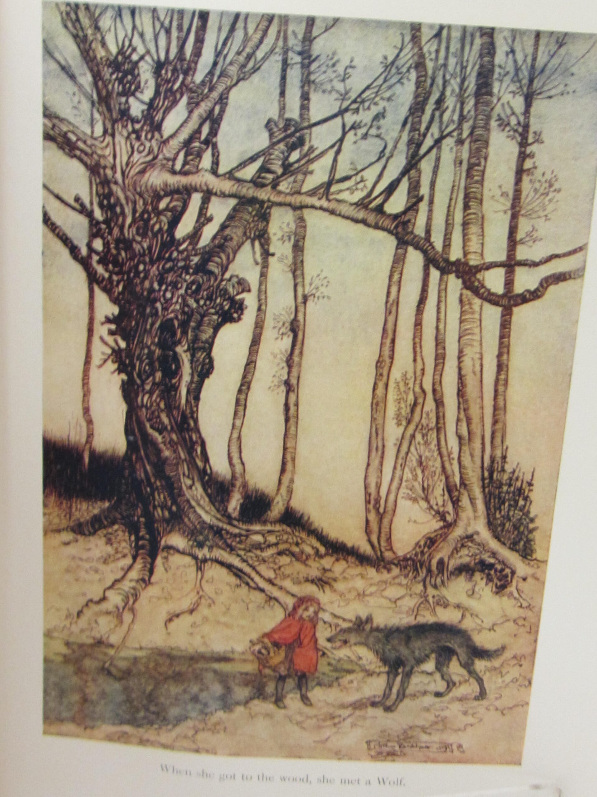 Fairy Tales. Illustrated by Arthur Rackham (1916) - Image 7