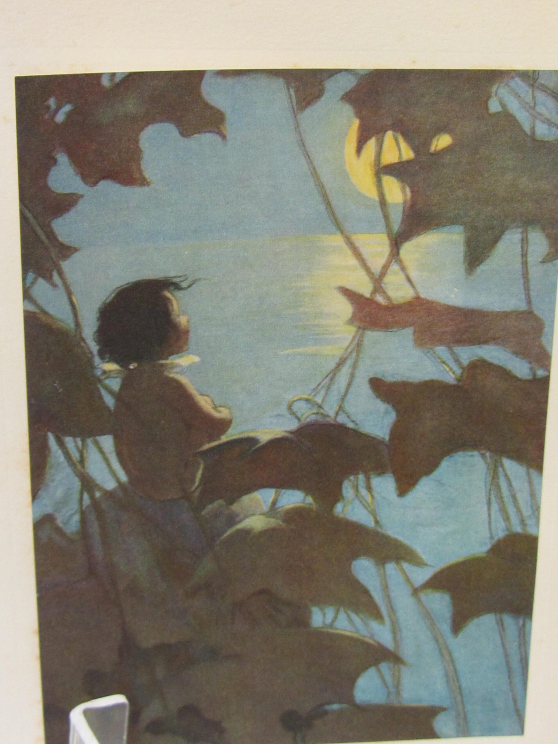 The Water-Babies. Illustrated by Jessie Willcox Smith (1929) - Image 4