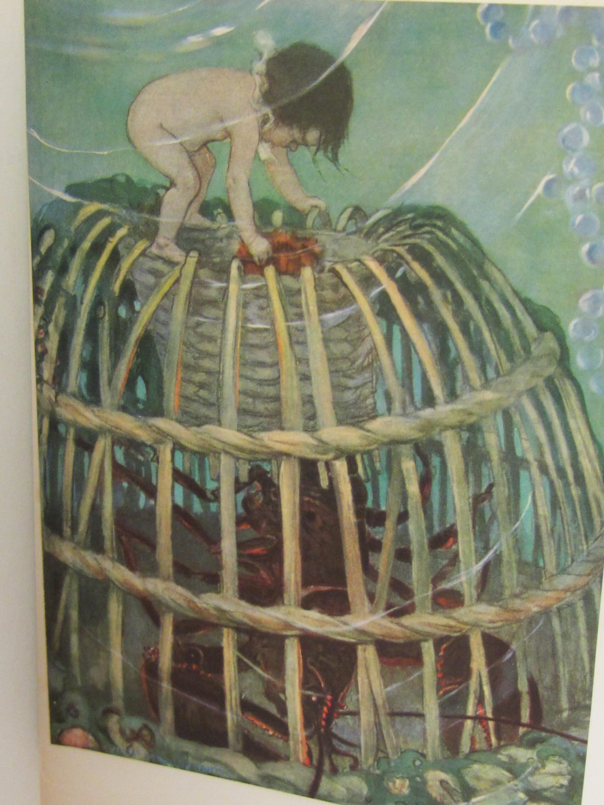 The Water-Babies. Illustrated by Jessie Willcox Smith (1929) - Image 9