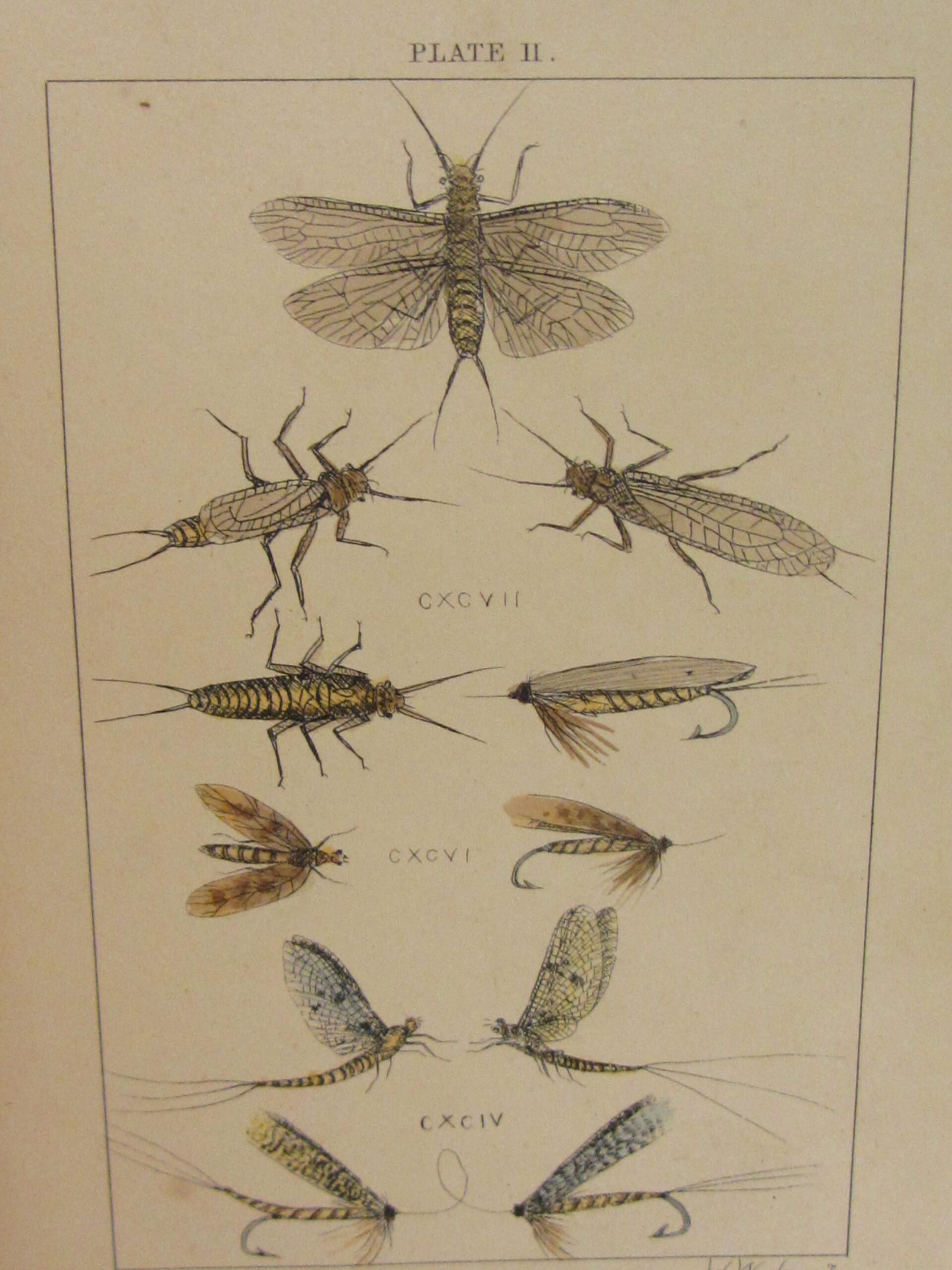 Halcyon: Or, Rod-Fishing With Fly, Minnow, & Worm (1861) - Image 7