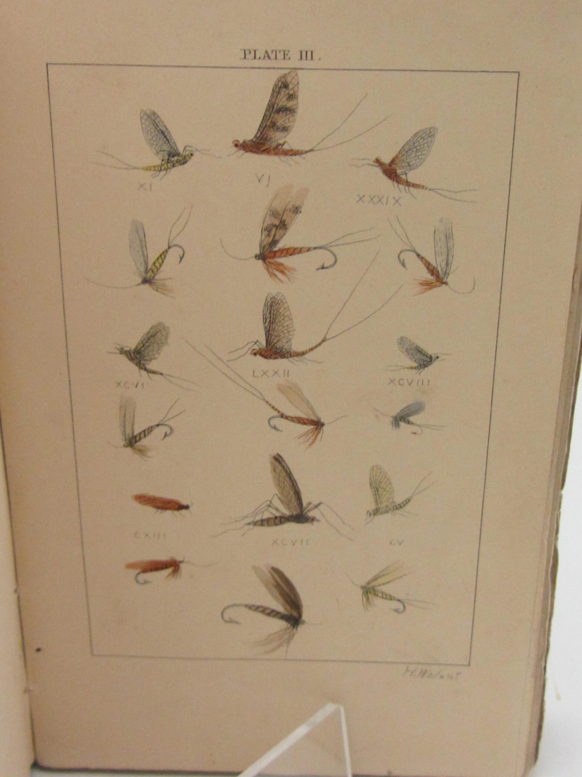 Halcyon: Or, Rod-Fishing With Fly, Minnow, & Worm (1861) - Image 8