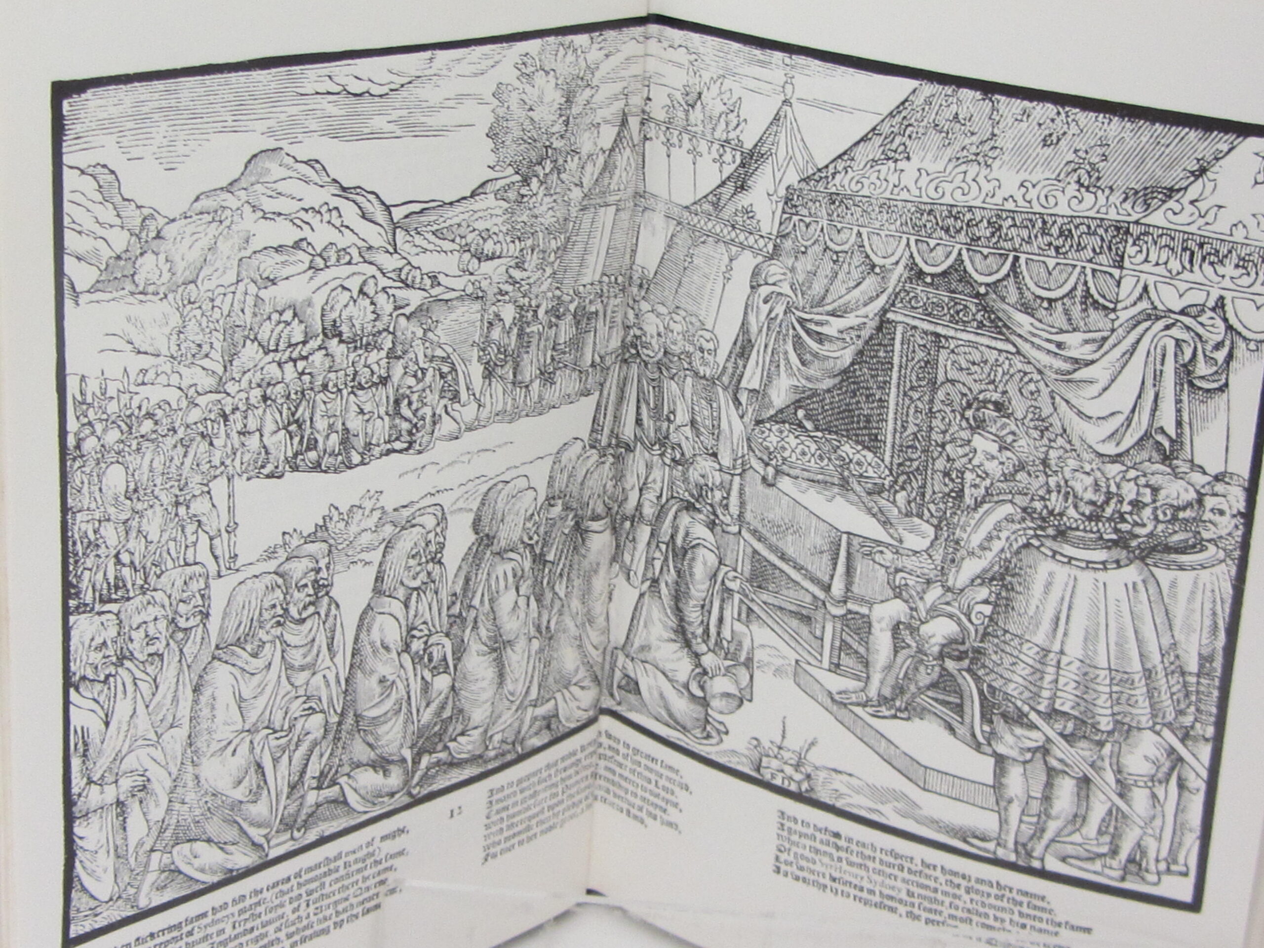 The Green Cockatrice. Biography of William Nugent (1978) - Image 4