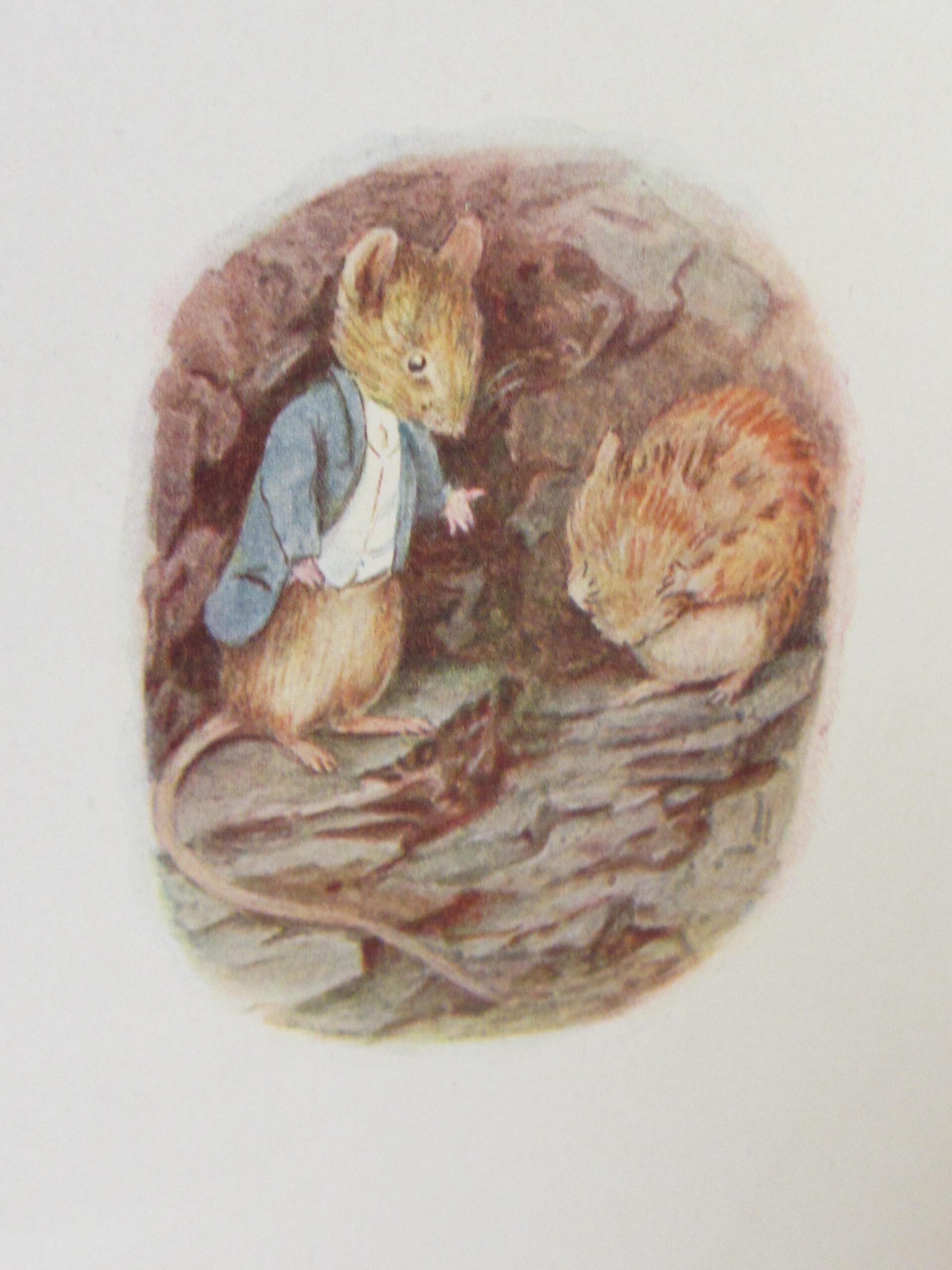 The Tale of Johnny Town-Mouse. First Edition (1918) - Image 5