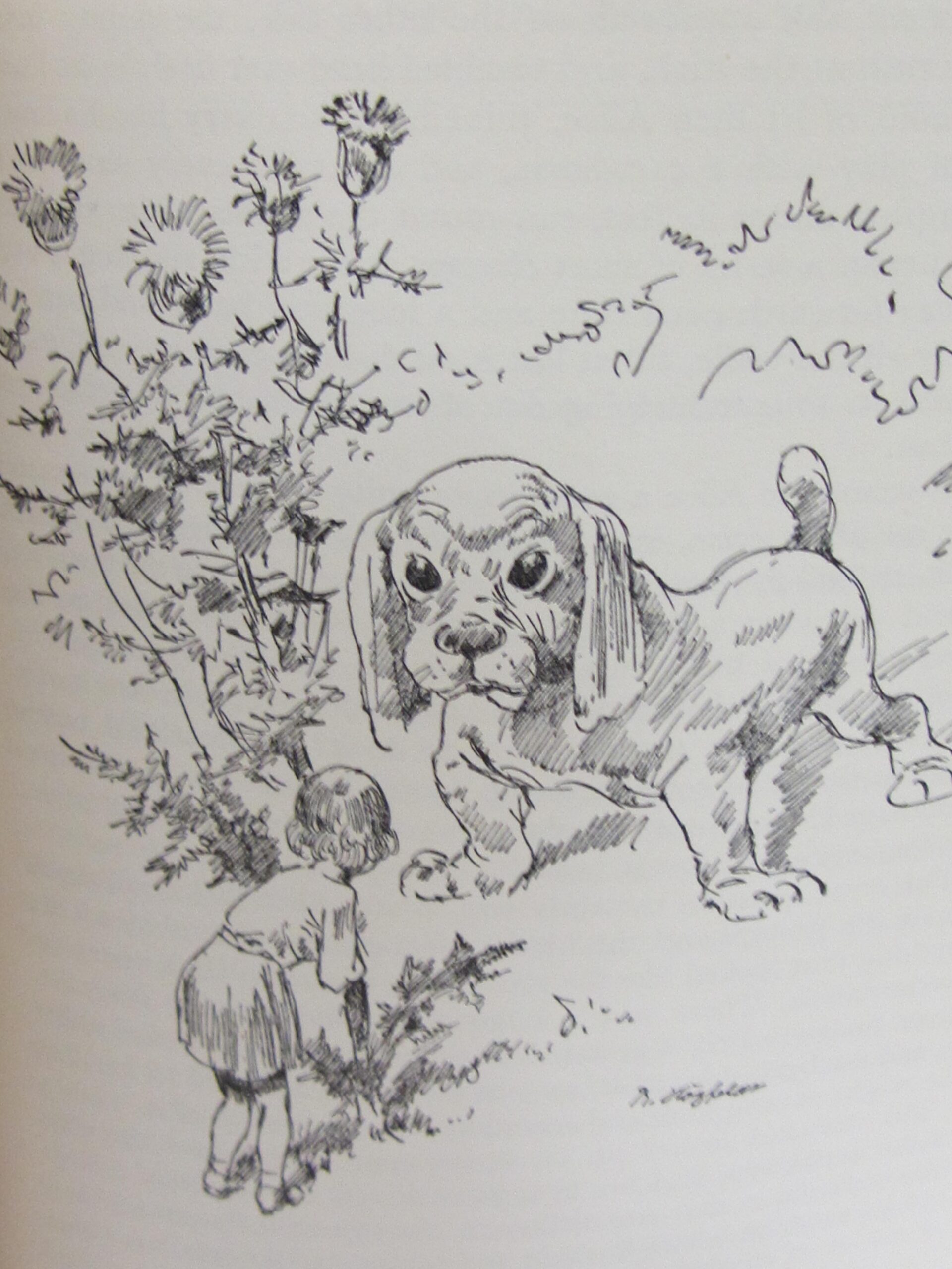 Alice In Wonderland And Through The Looking-Glass (1949) - Image 4