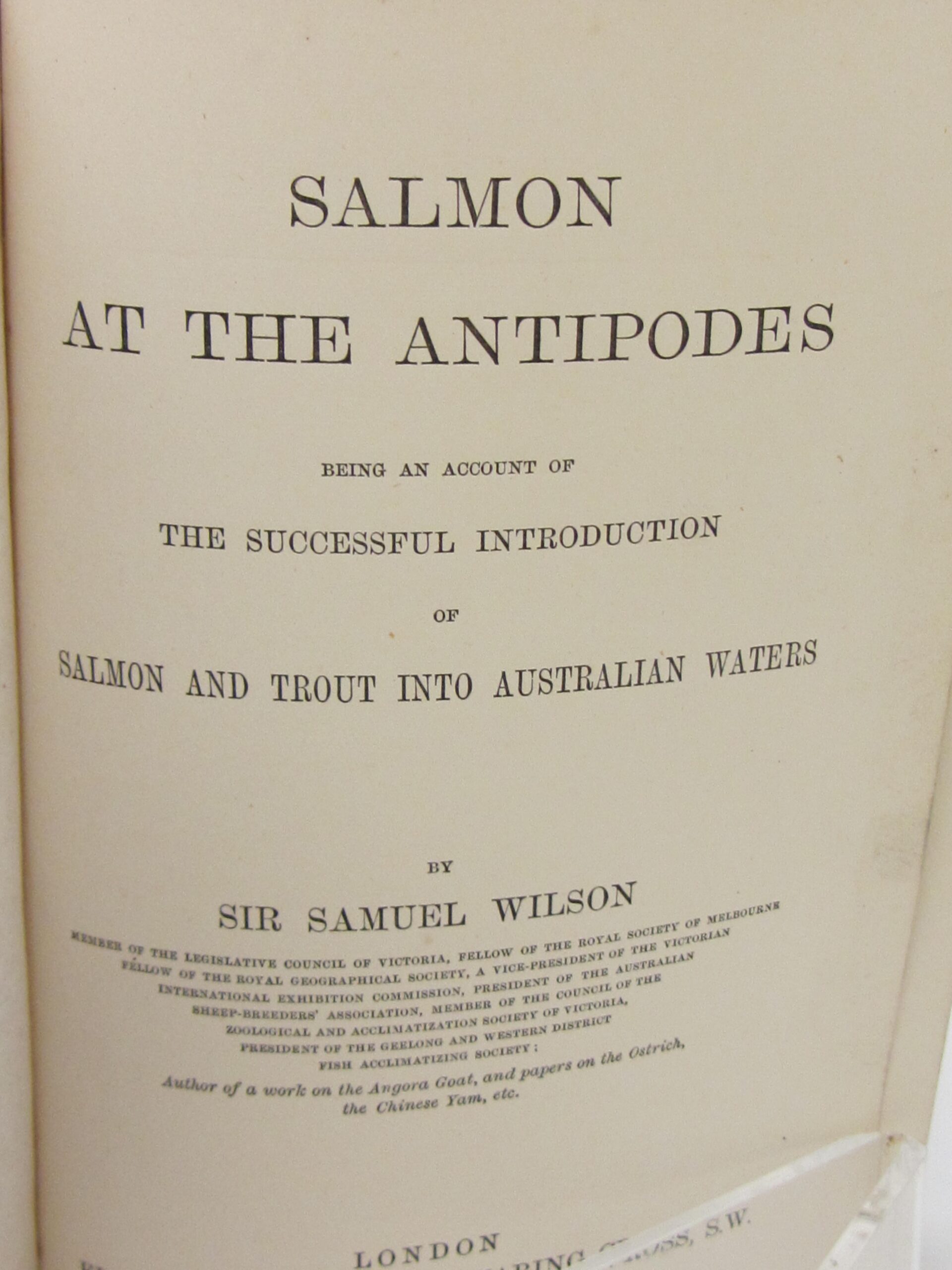Salmon At The Antipodes (1879) - Image 3