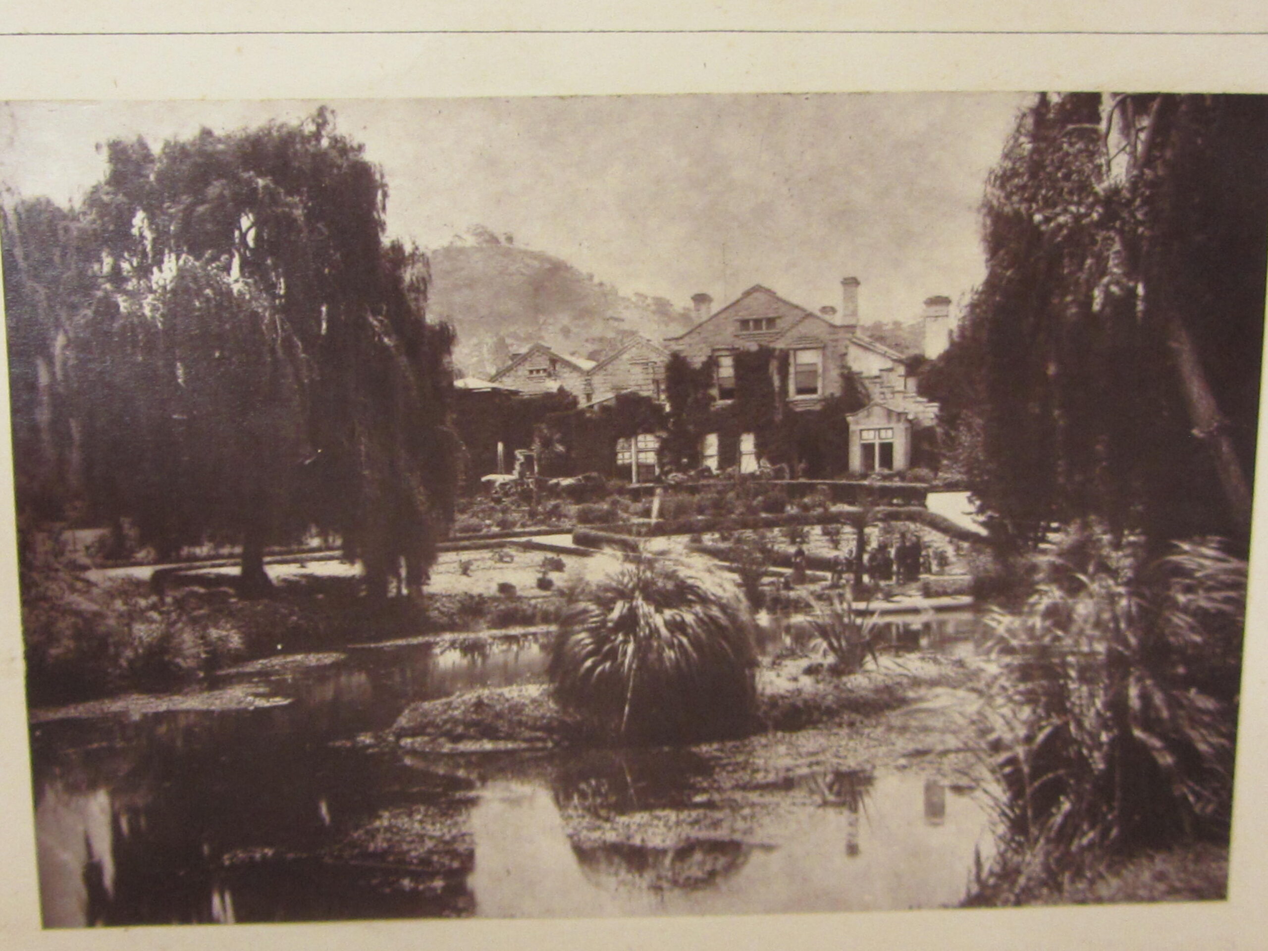 Salmon At The Antipodes (1879) - Image 4