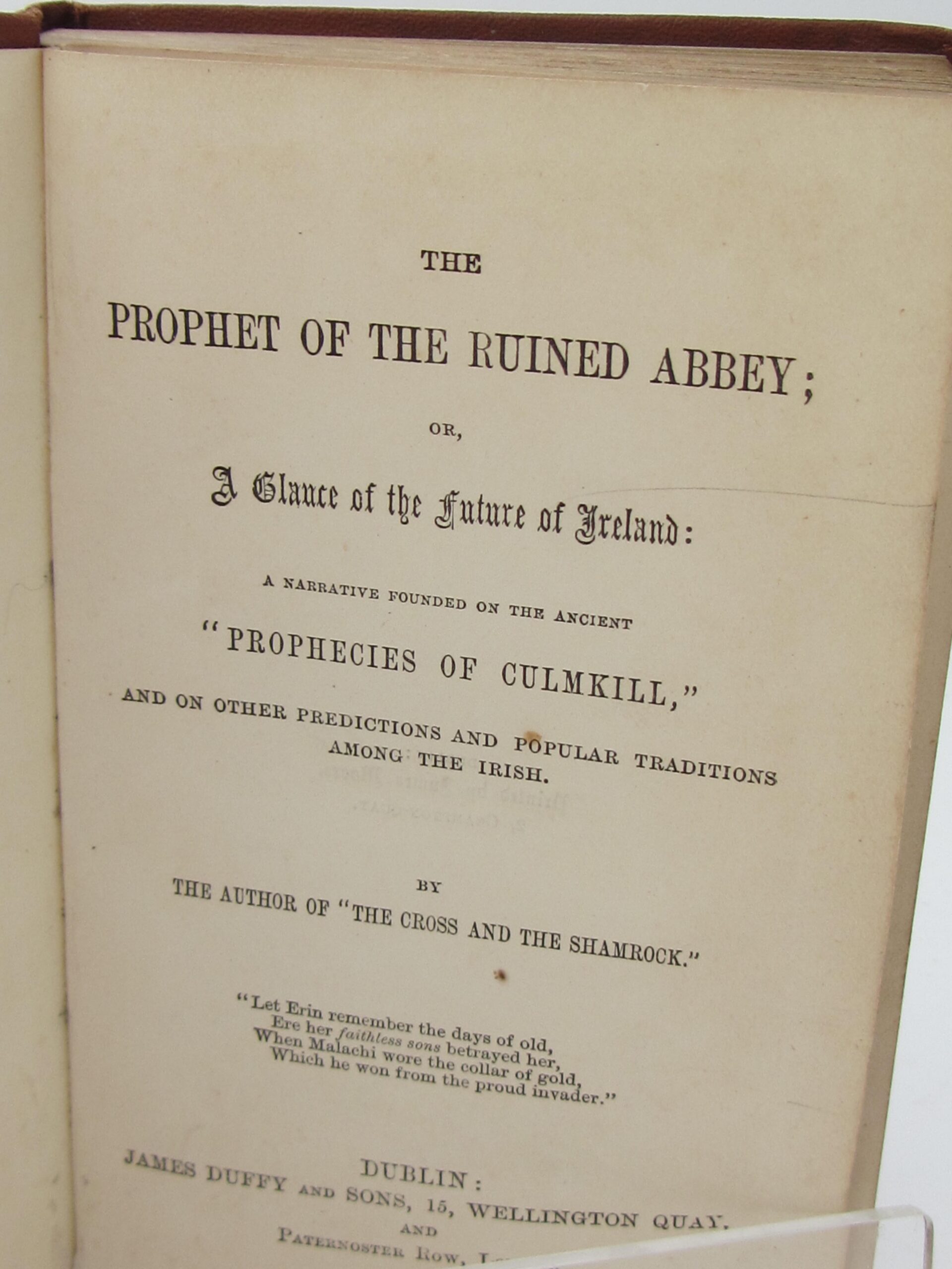 The Prophet of the Ruined Abbey (1855) - Image 3