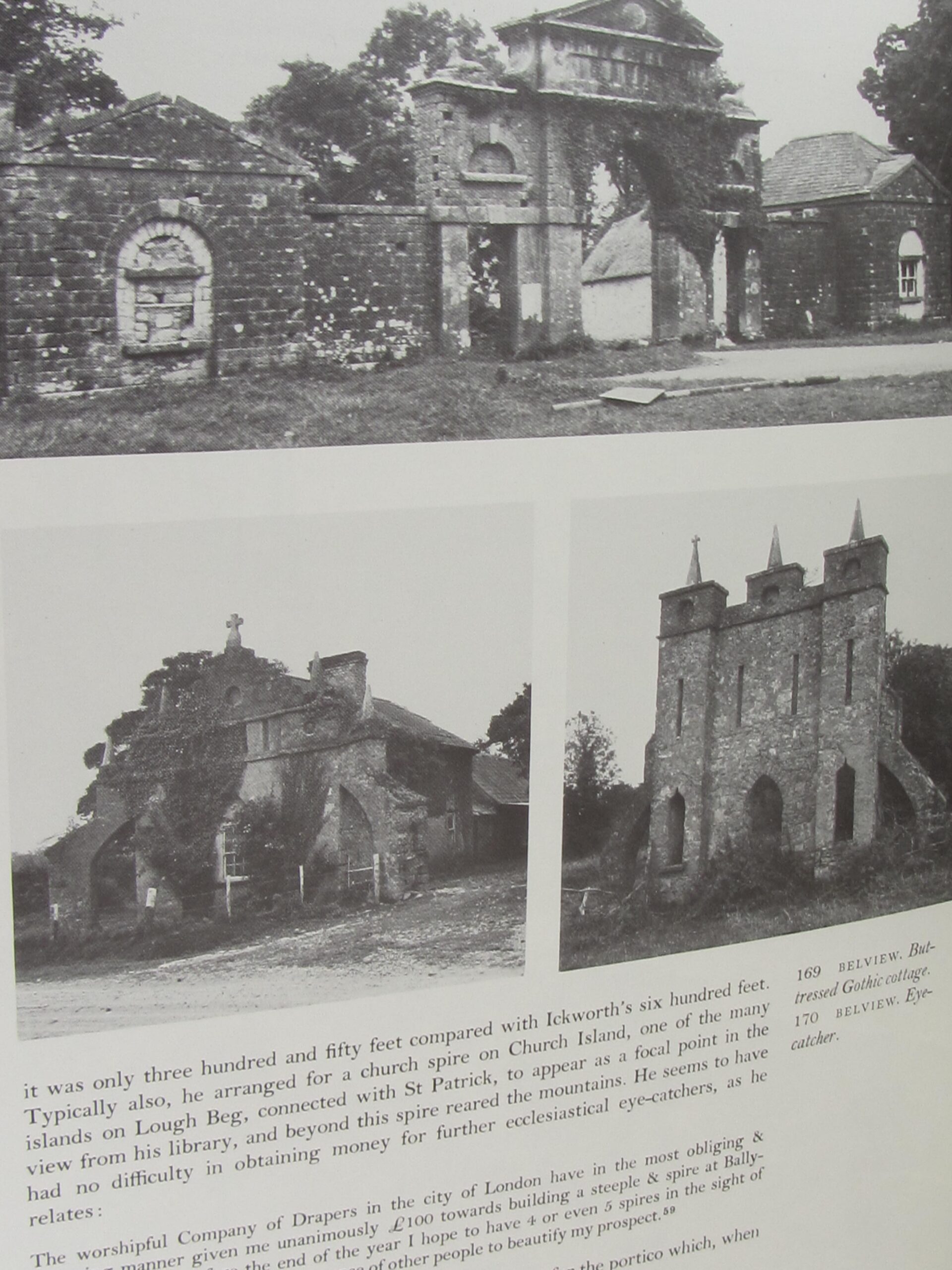 Irish Gardens and Lost Demesnes (1976-1980) - Image 6