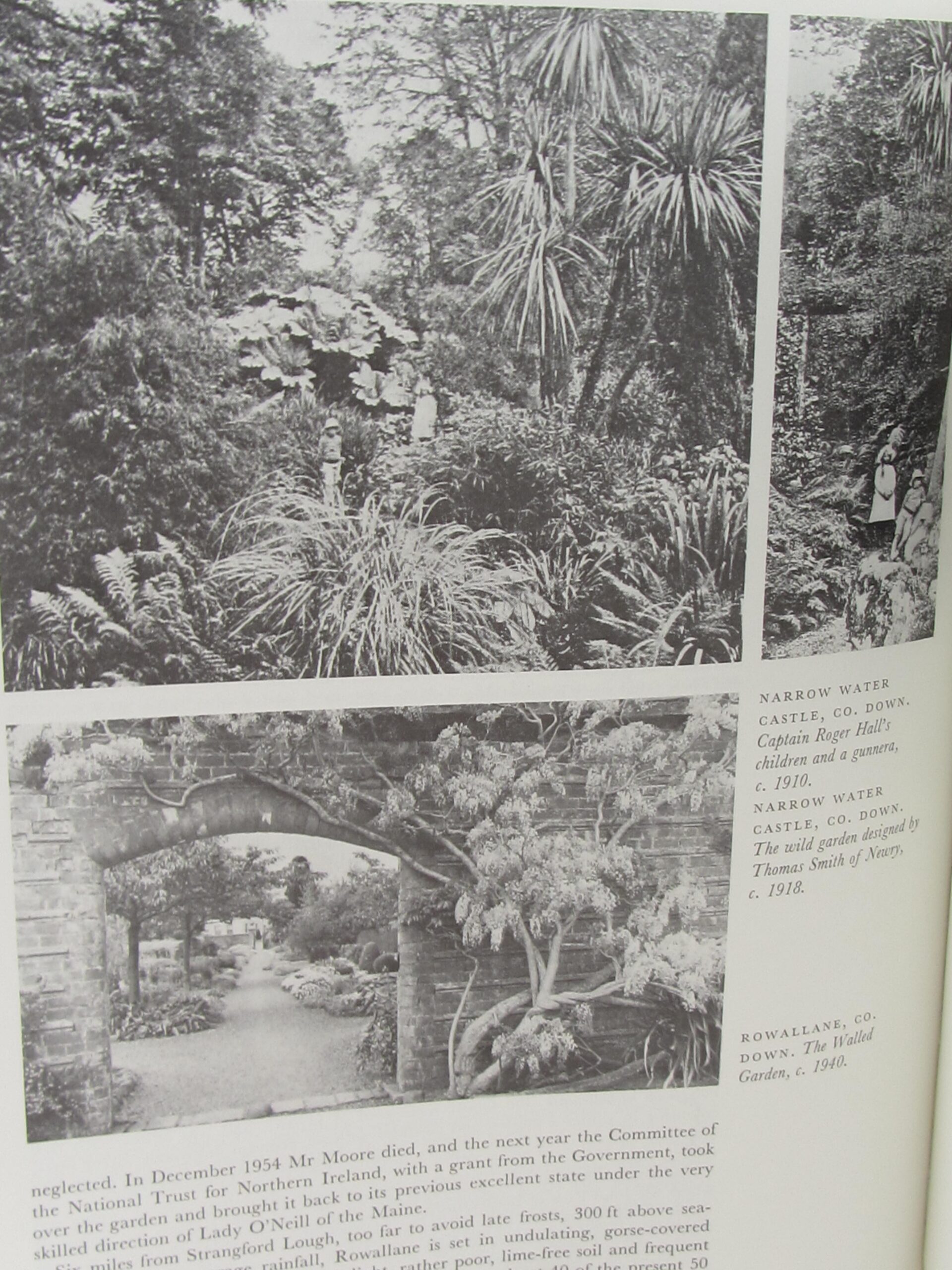 Irish Gardens and Lost Demesnes (1976-1980) - Image 8