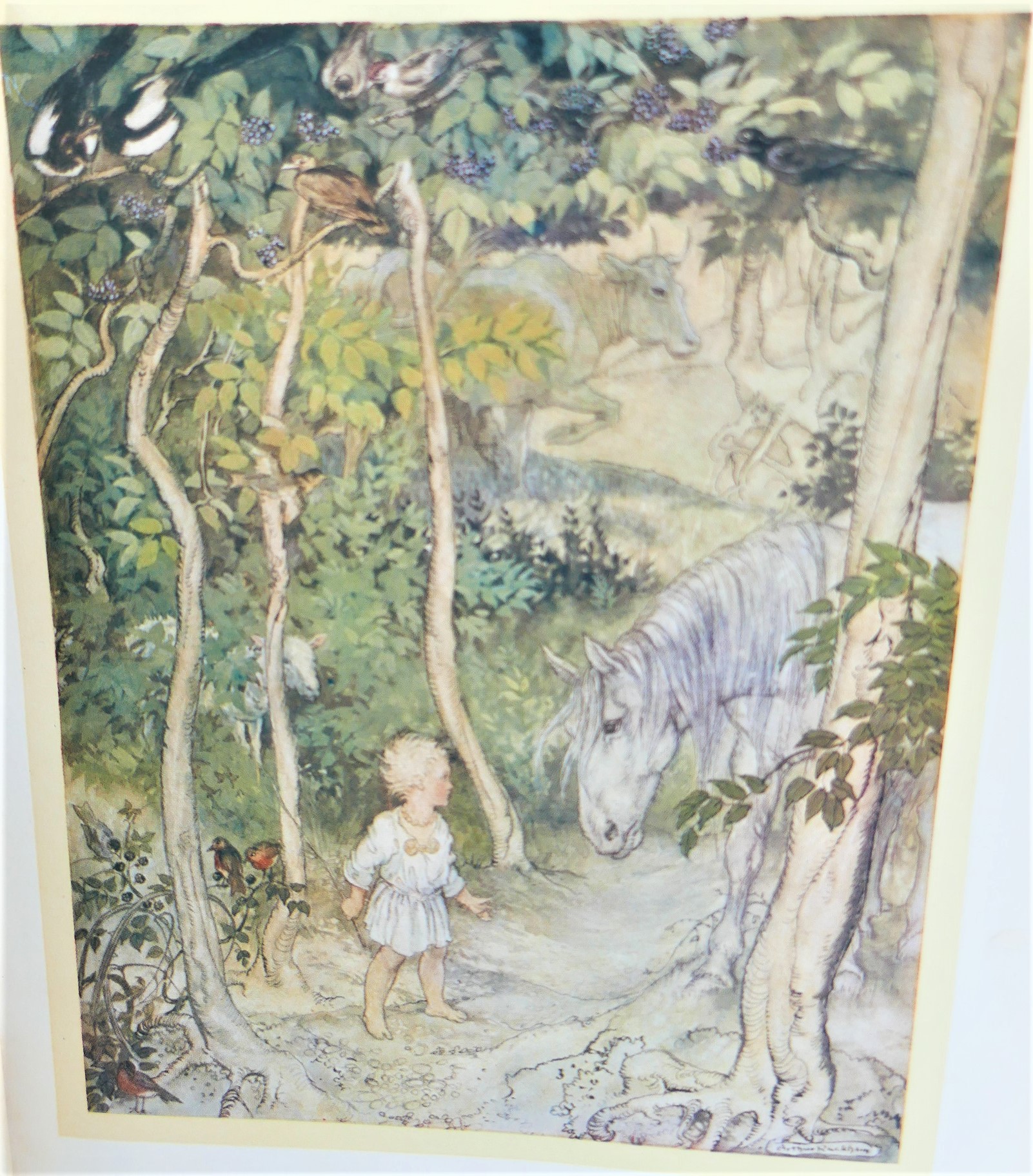 Irish Fairy Tales. Illustrated by Arthur Rackham (1920) - Image 4