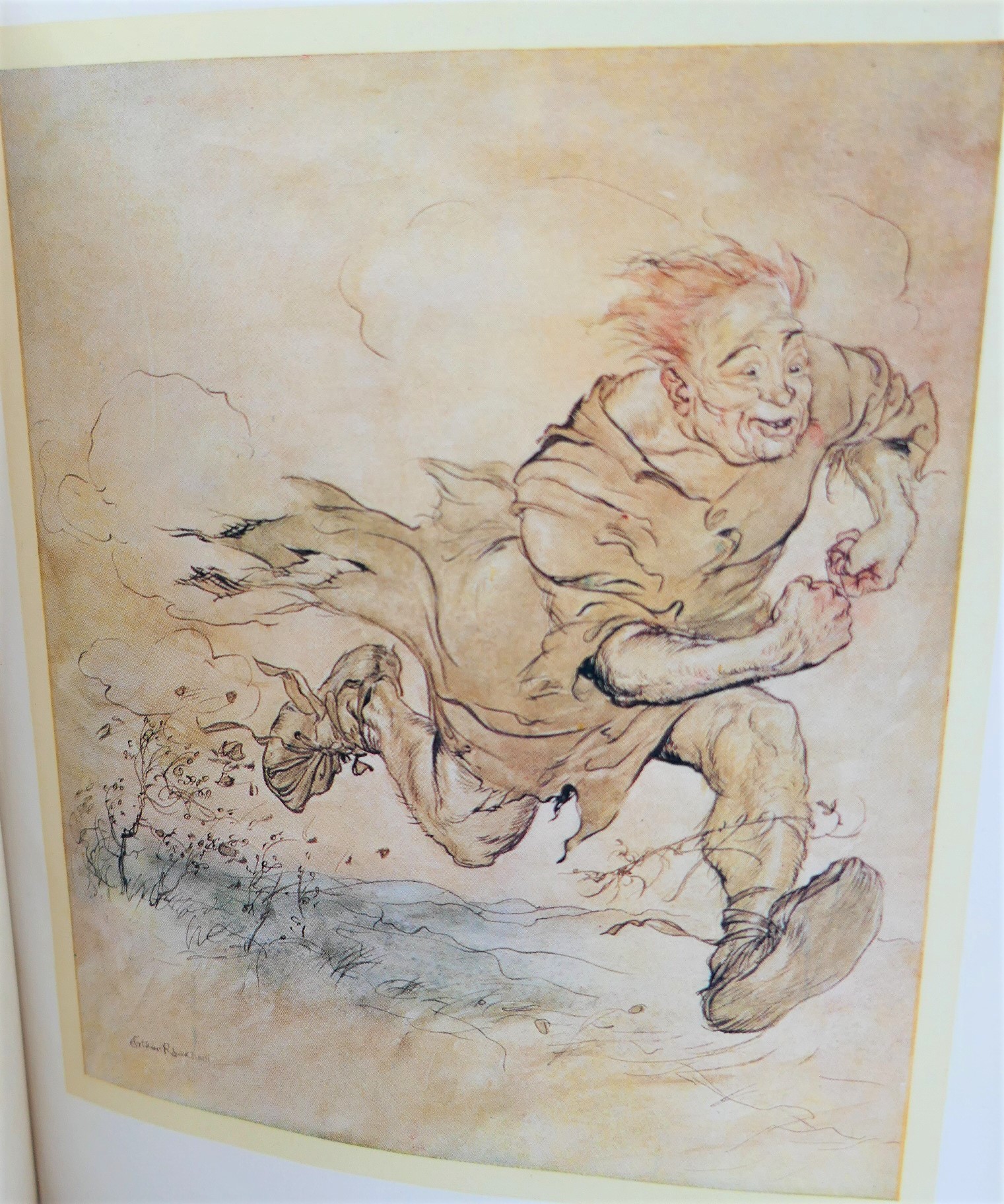 Irish Fairy Tales. Illustrated by Arthur Rackham (1920) - Image 6