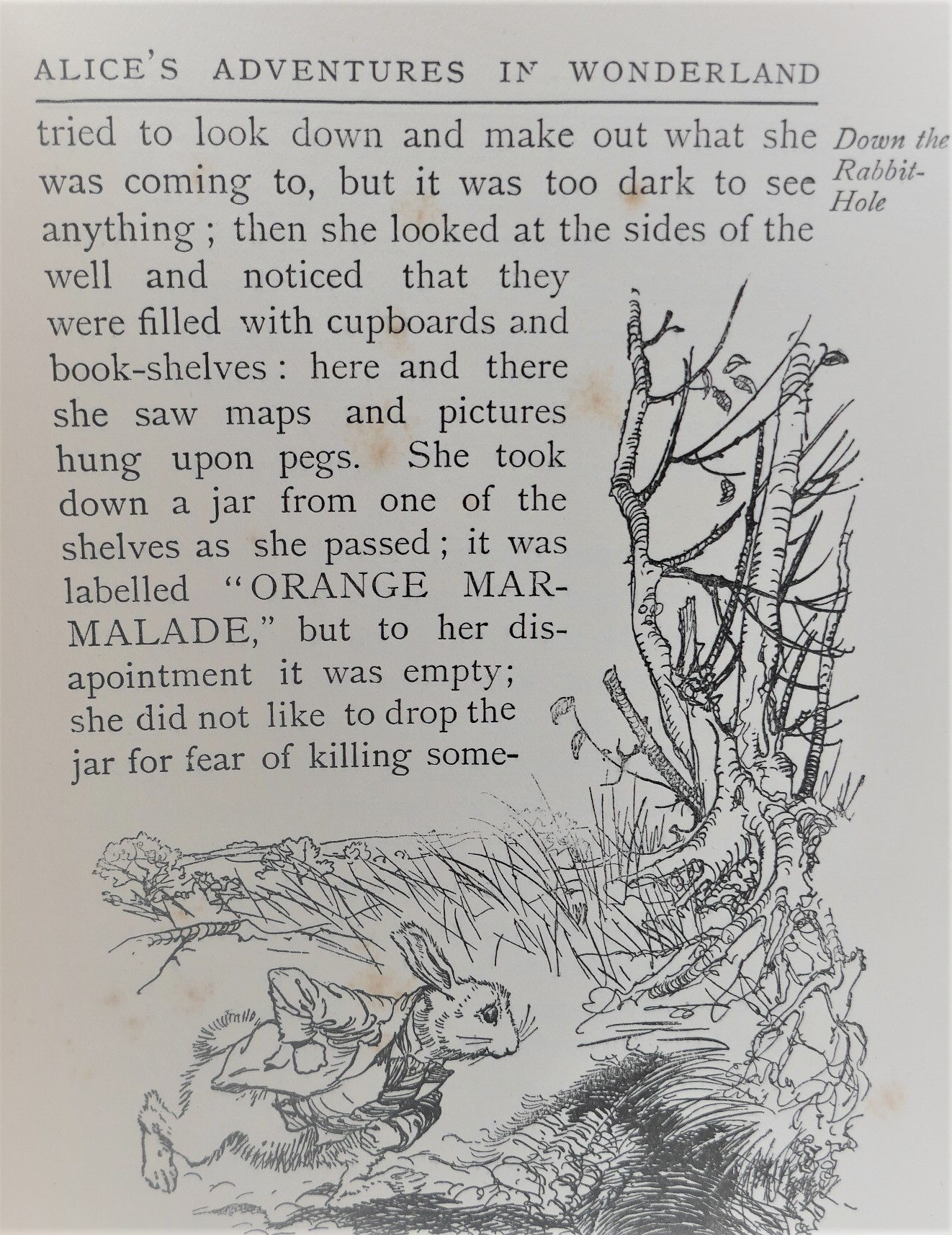Alice's Adventures in Wonderland. Illustrated by Arthur Rackham (1919) - Image 4