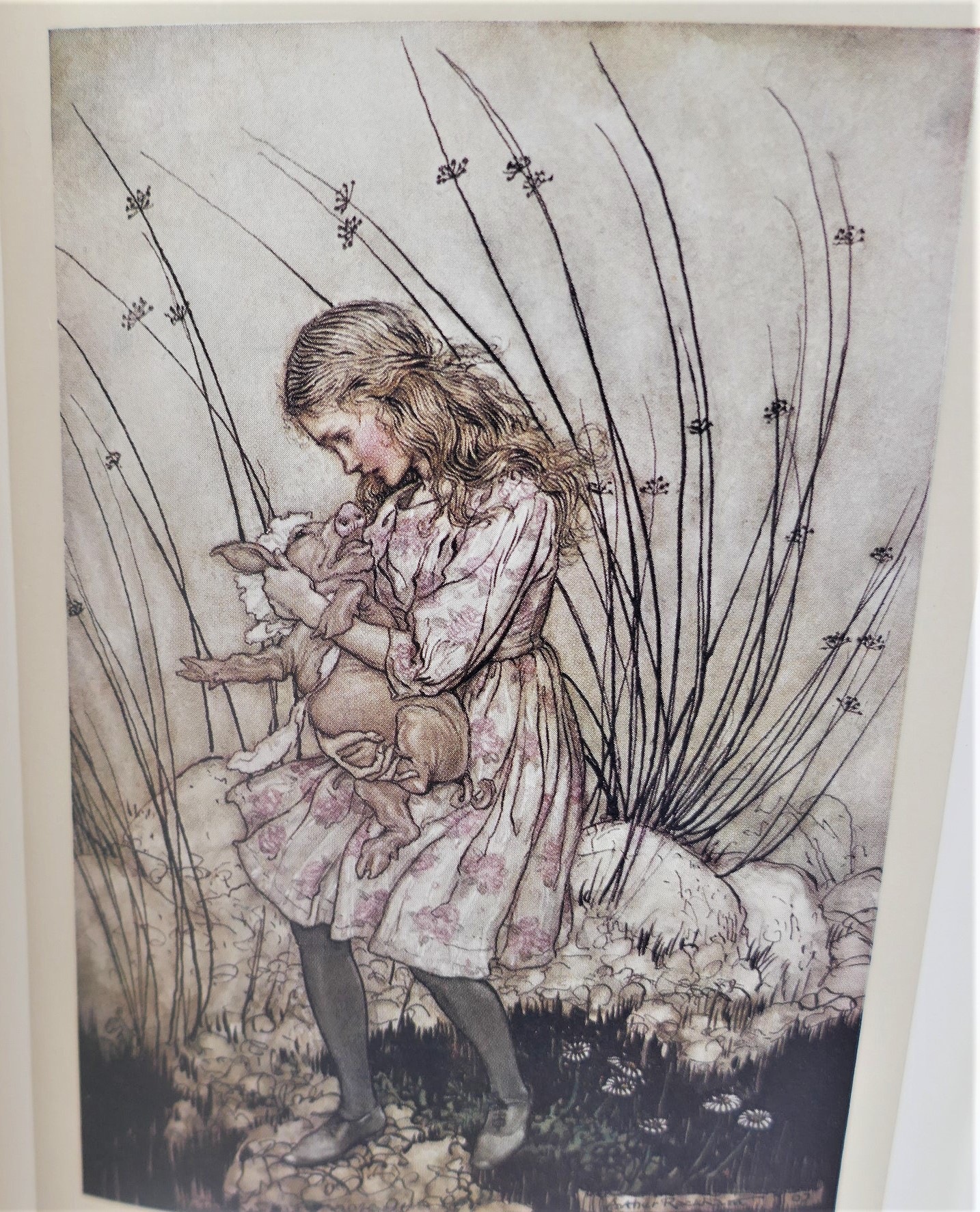 Alice's Adventures in Wonderland. Illustrated by Arthur Rackham (1930) - Image 8