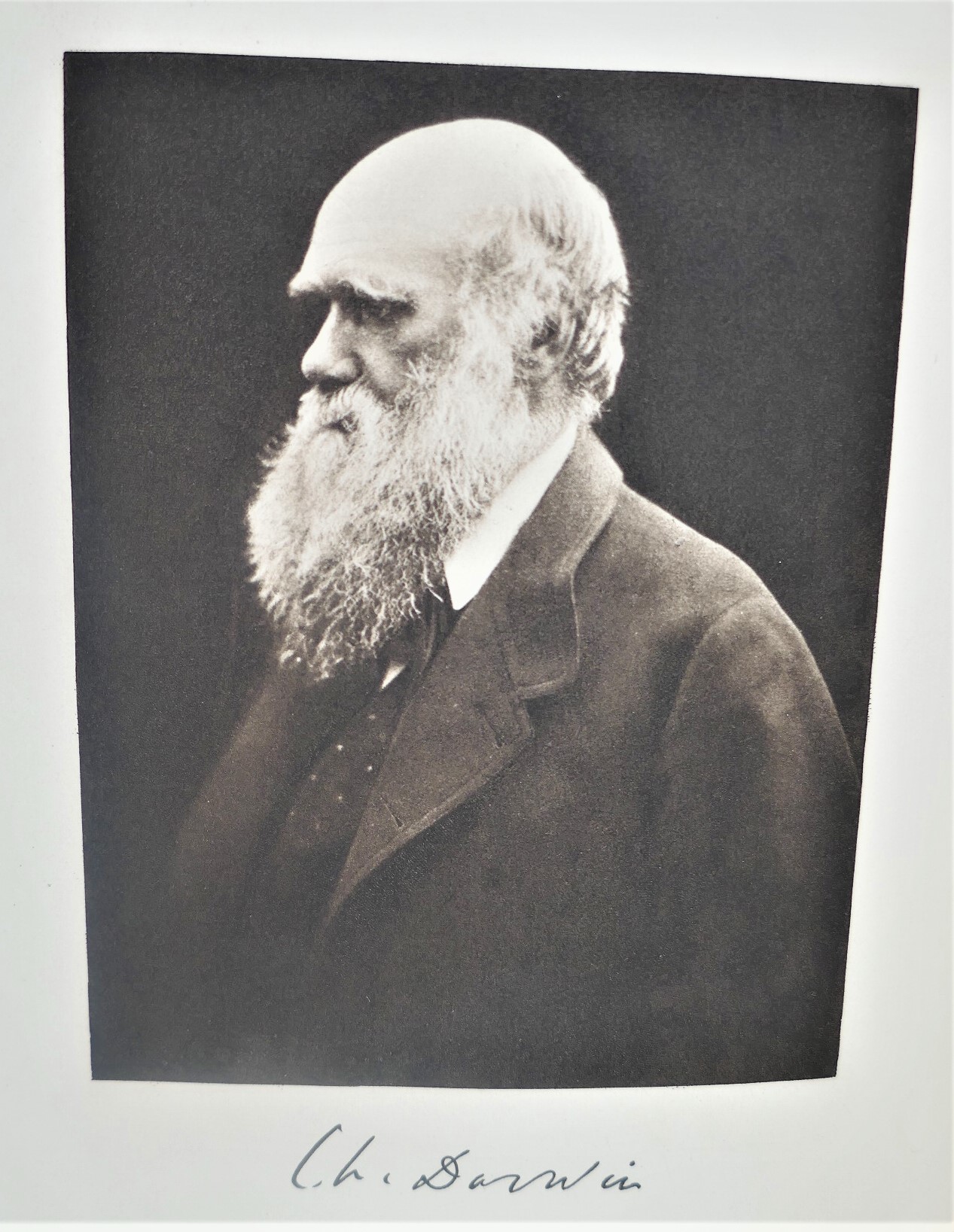 The Origin of Species by Means of Natural Selection (1901) - Image 3