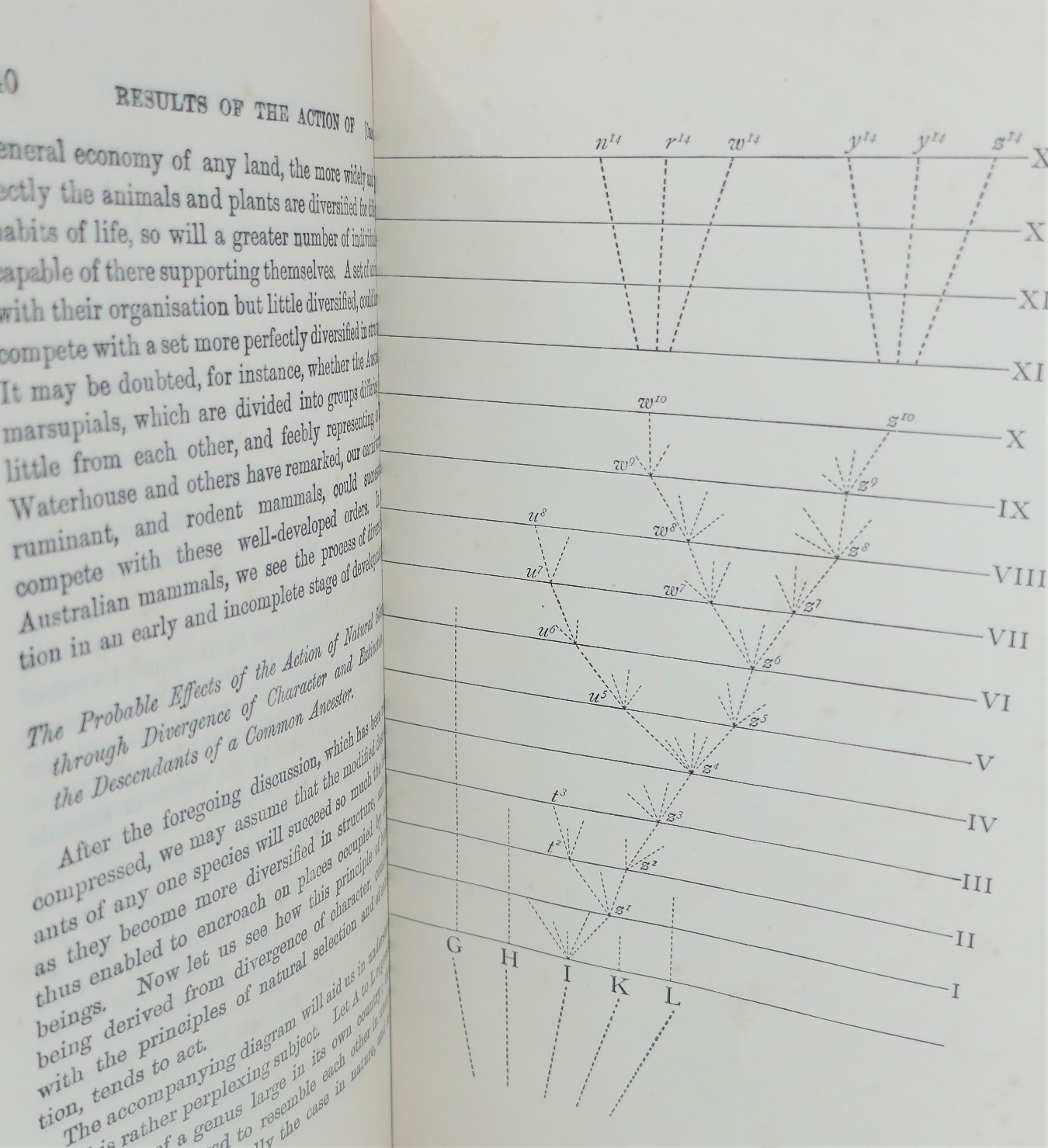 The Origin of Species by Means of Natural Selection (1901) - Image 5