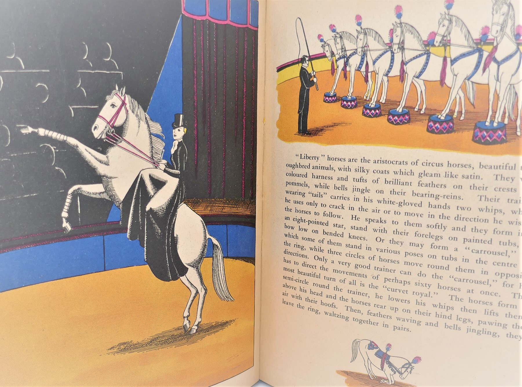 The Children's Circus Book (1935) - Image 5