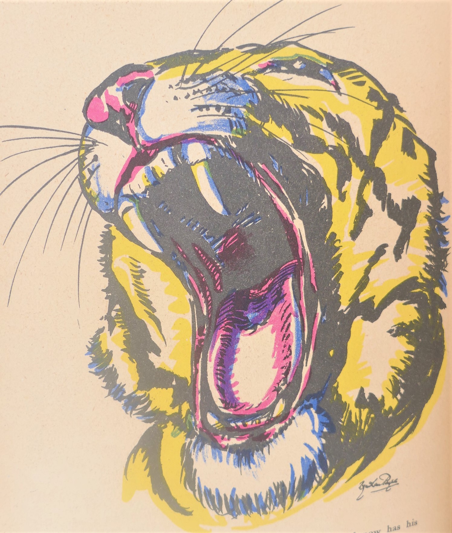 The Children's Circus Book (1935) - Image 7