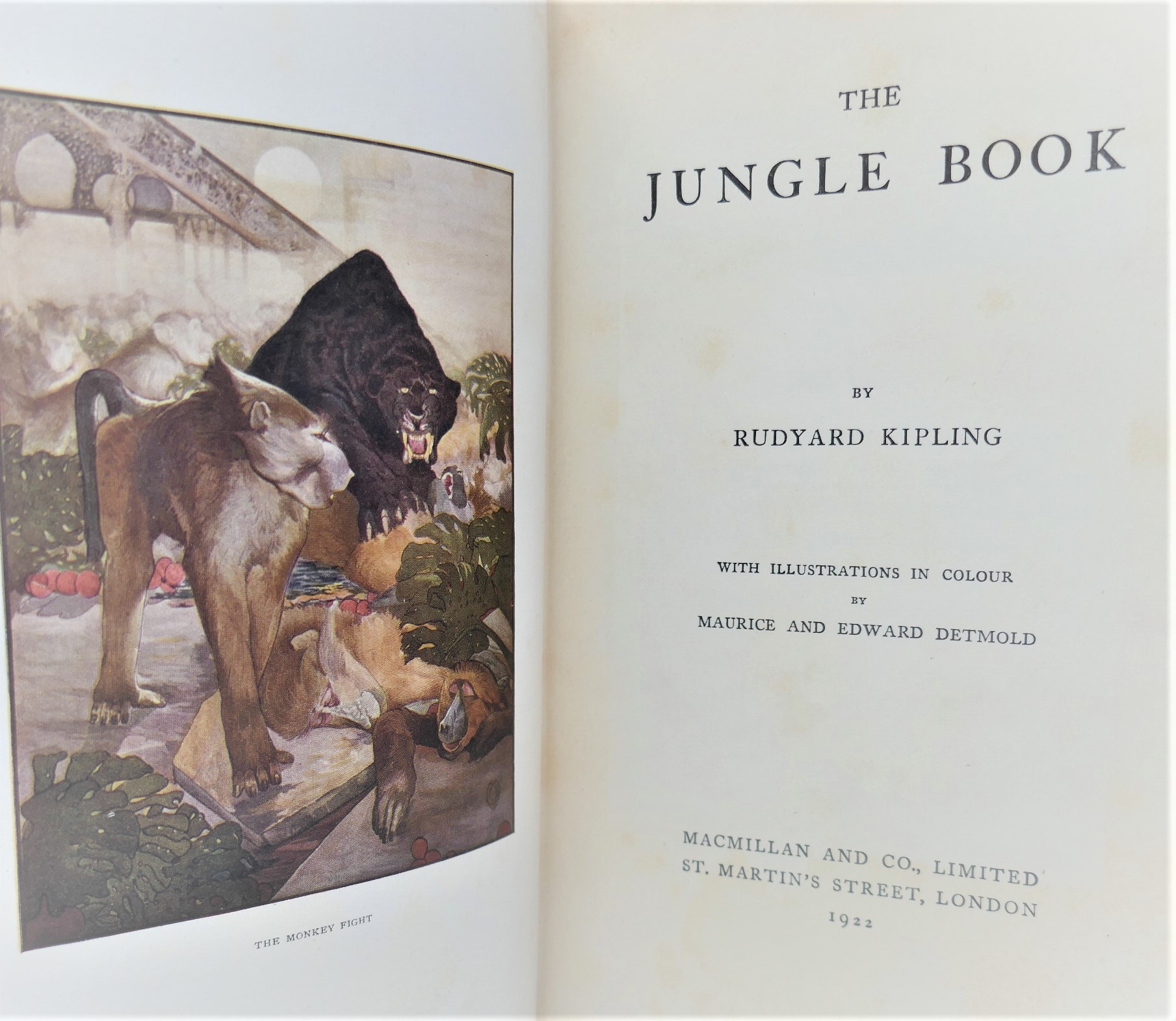 The Jungle Book. Illustrated by M. & E. Detmold (1922) - Image 3