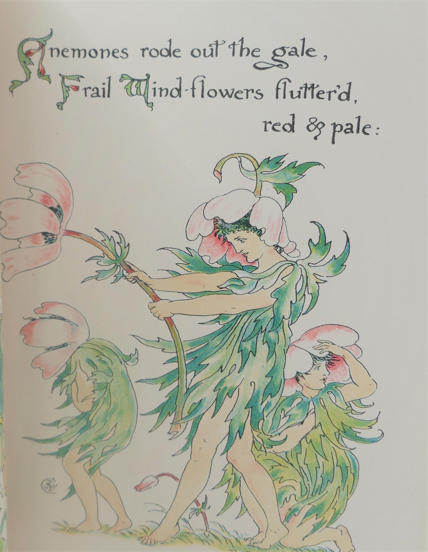 Flora's Feast. A Masque of Flowers (1902) - Image 5