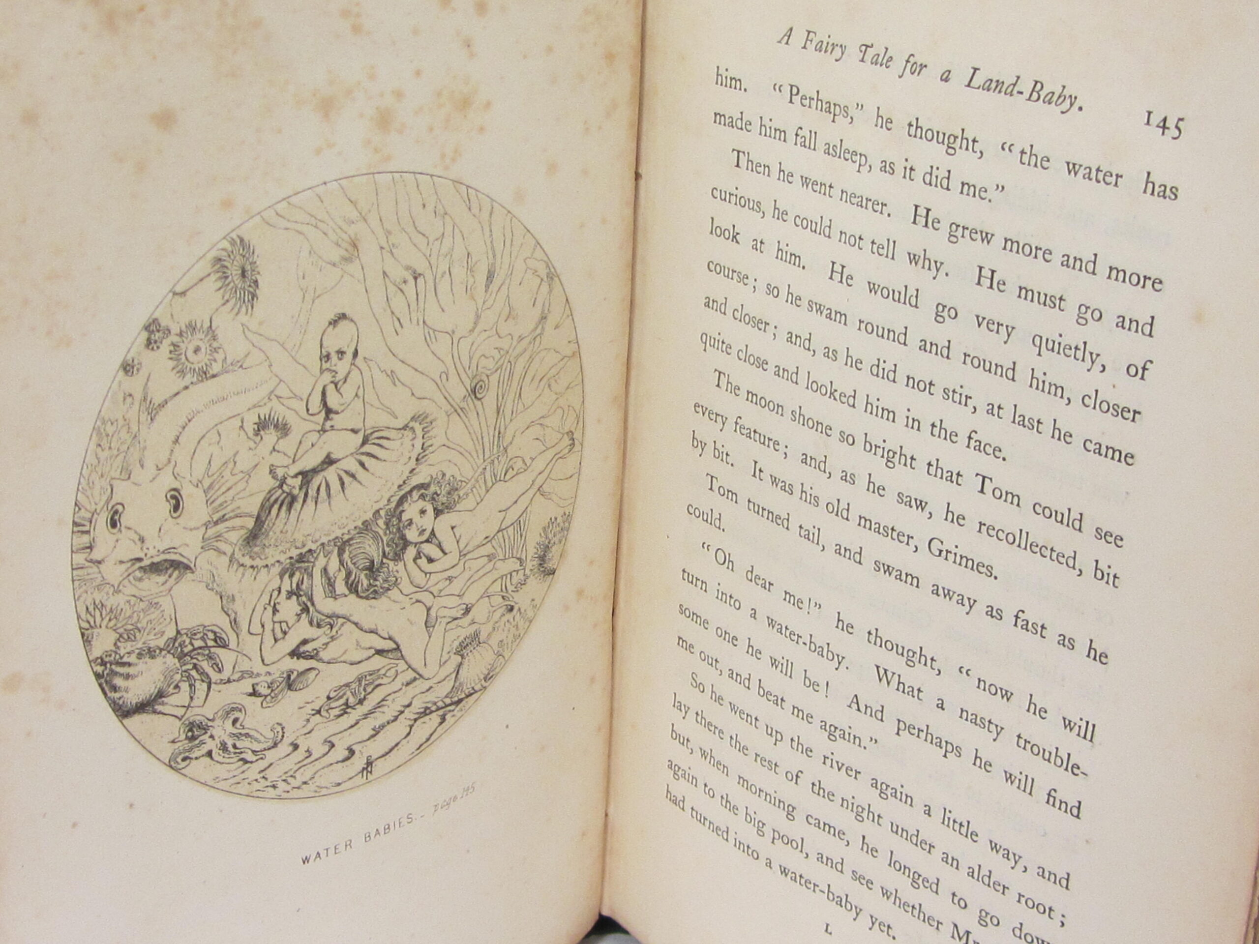 The Water-Babies: A Fairy Tale for a Land-Baby (1864) - Image 5