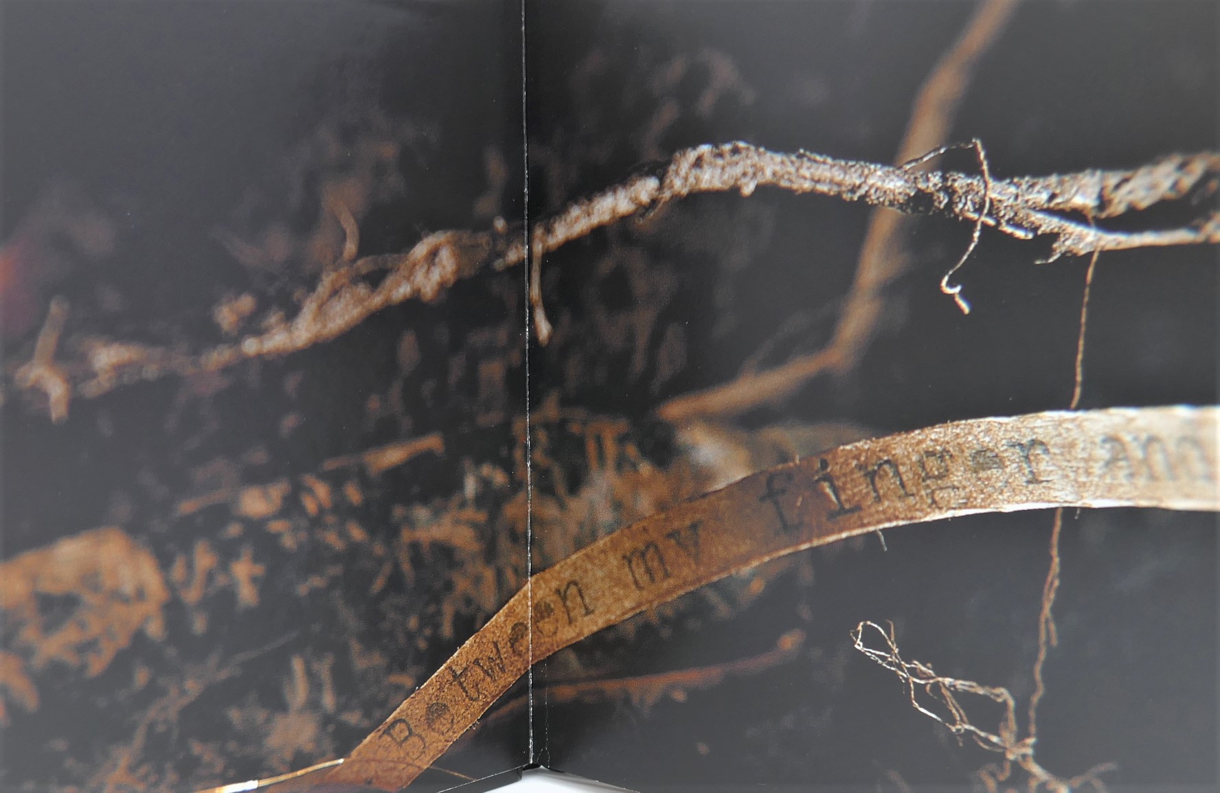 Room to Rhyme. Inscribed Copy (2004) - Image 6