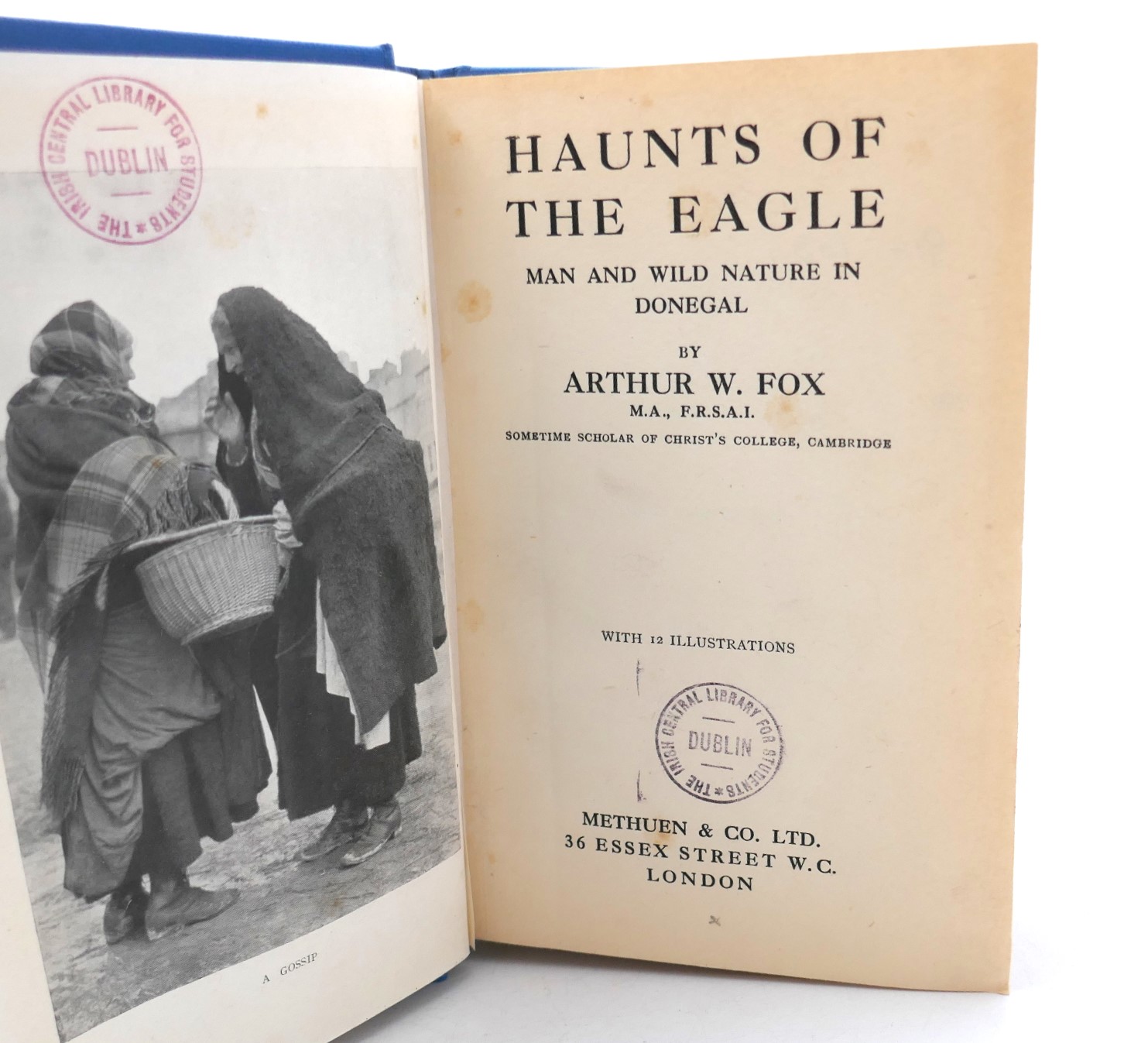 Haunts of the Eagle. Man and Wild Nature in Donegal (1924) - Image 3