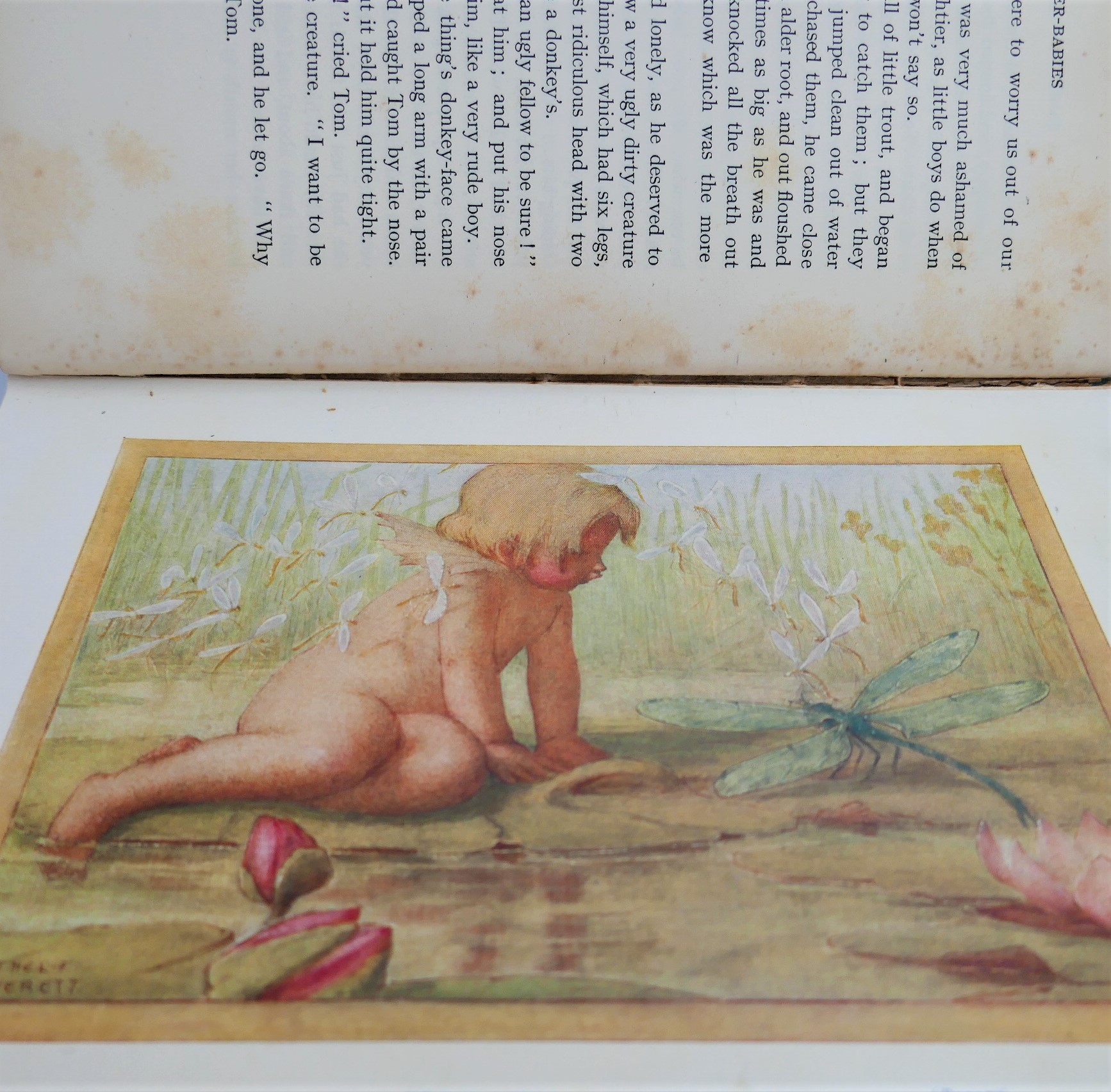 The Water-Babies. Illustrator's Copy (1920) - Image 6