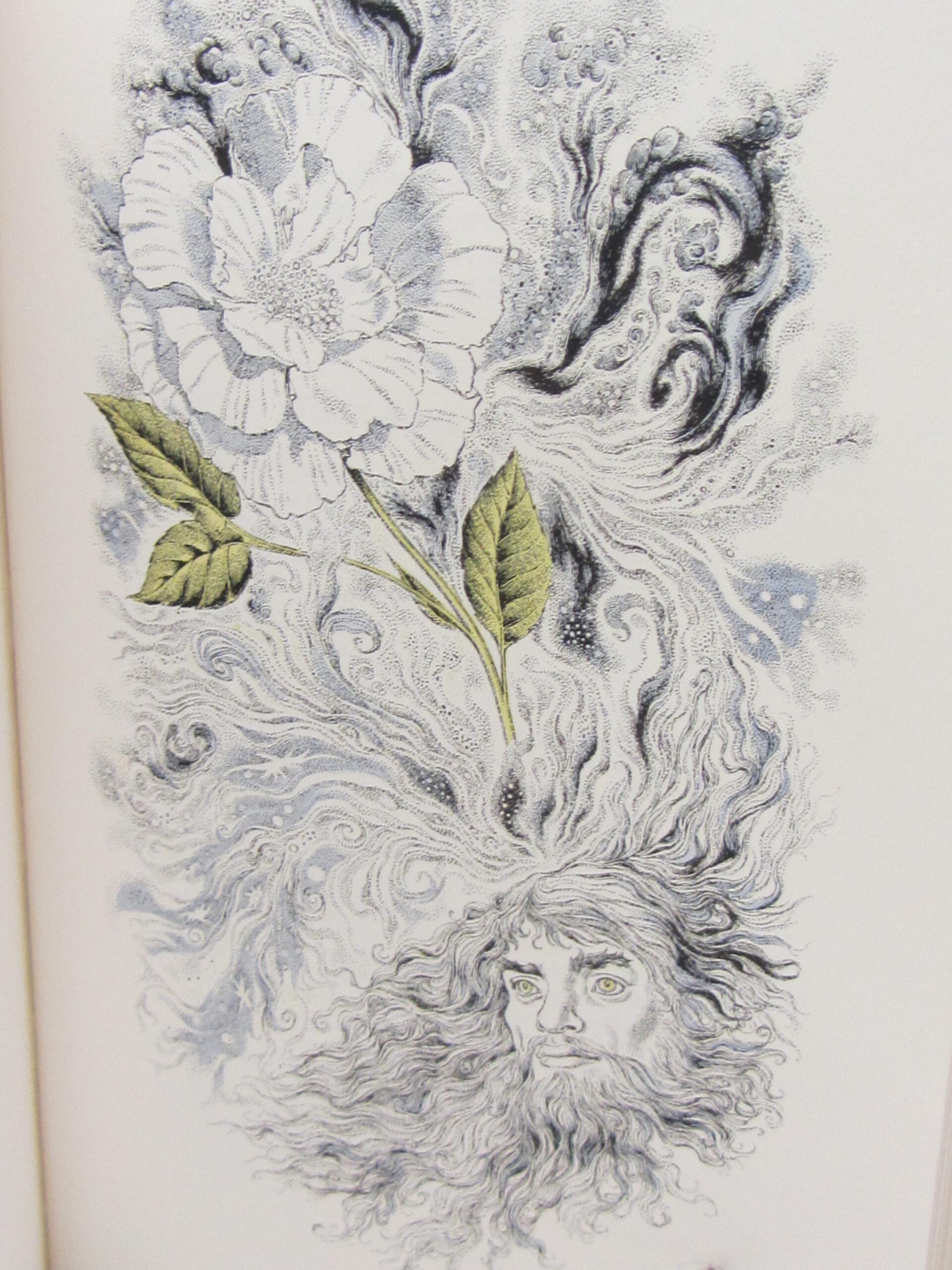 The Poems of W.B. Yeats. Drawings by Robin Jacques (1976) - Image 6
