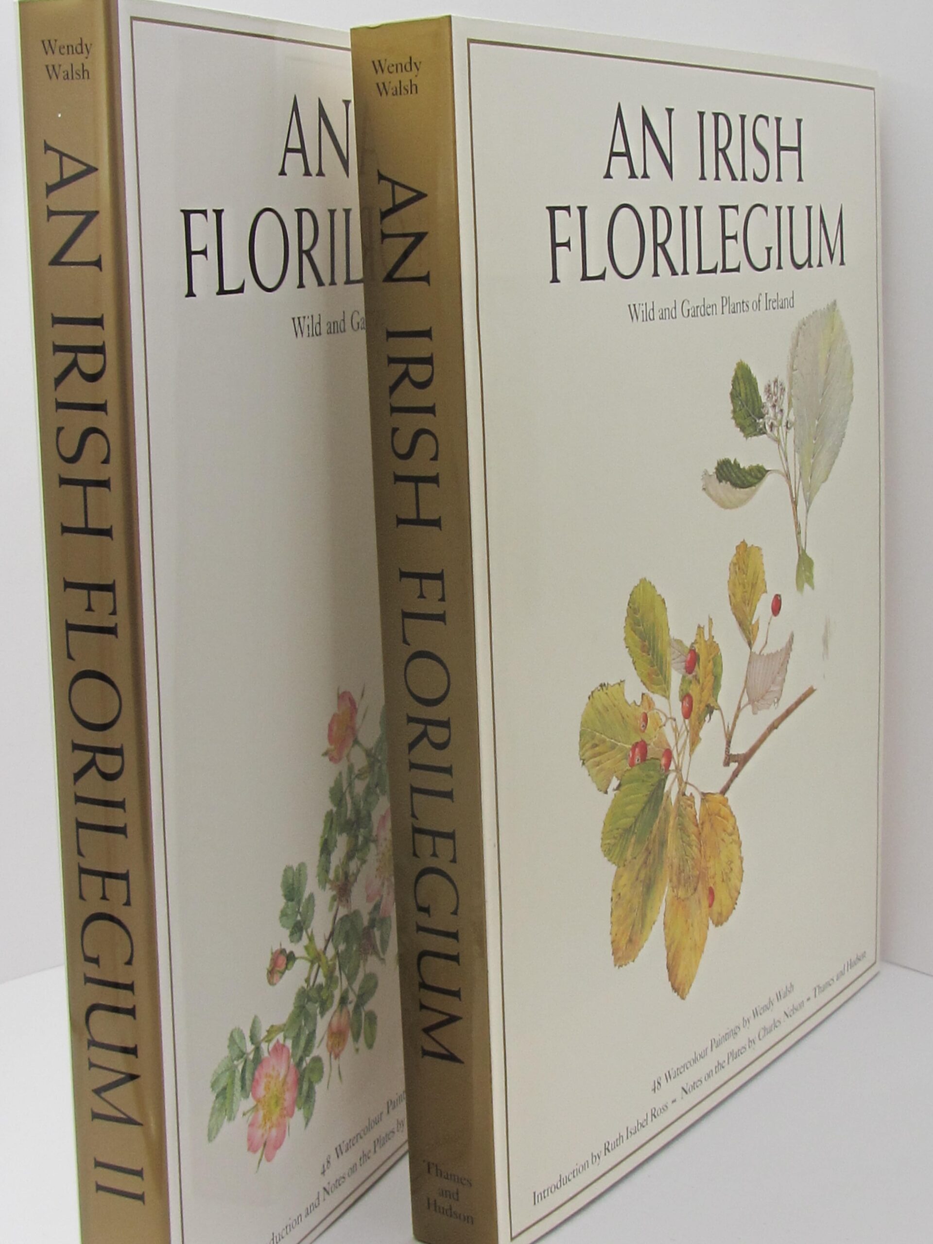 An Irish Florilegium. Volumes 1 & 2 (1983-1987) - Image 2