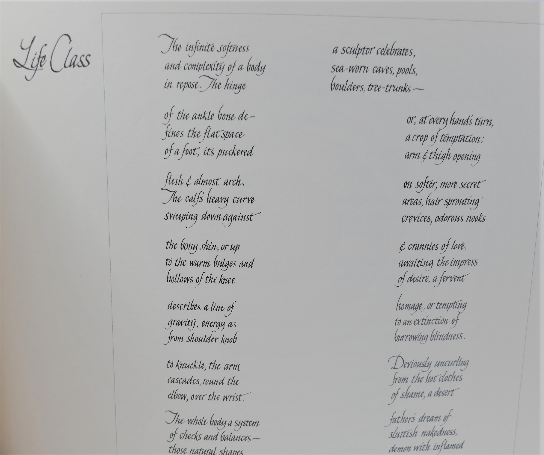 Drawings. Claire Rumin Wilks. With A Poem by John Montague (1975) - Image 6
