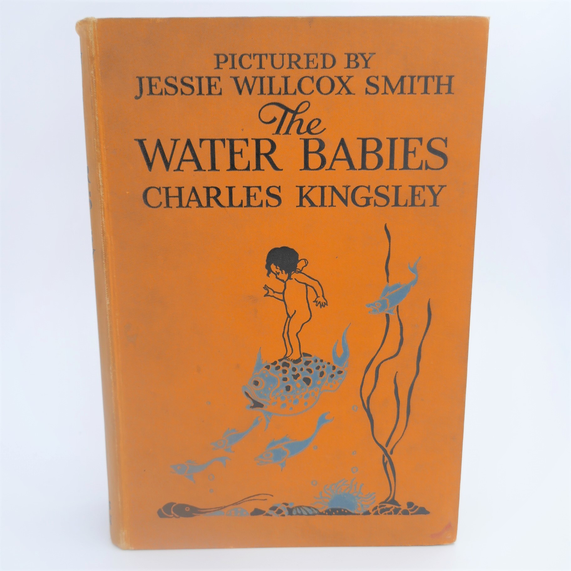 The Water Babies. Illustrated by Jessie Willcox Smith (1924) by Charles Kingsley