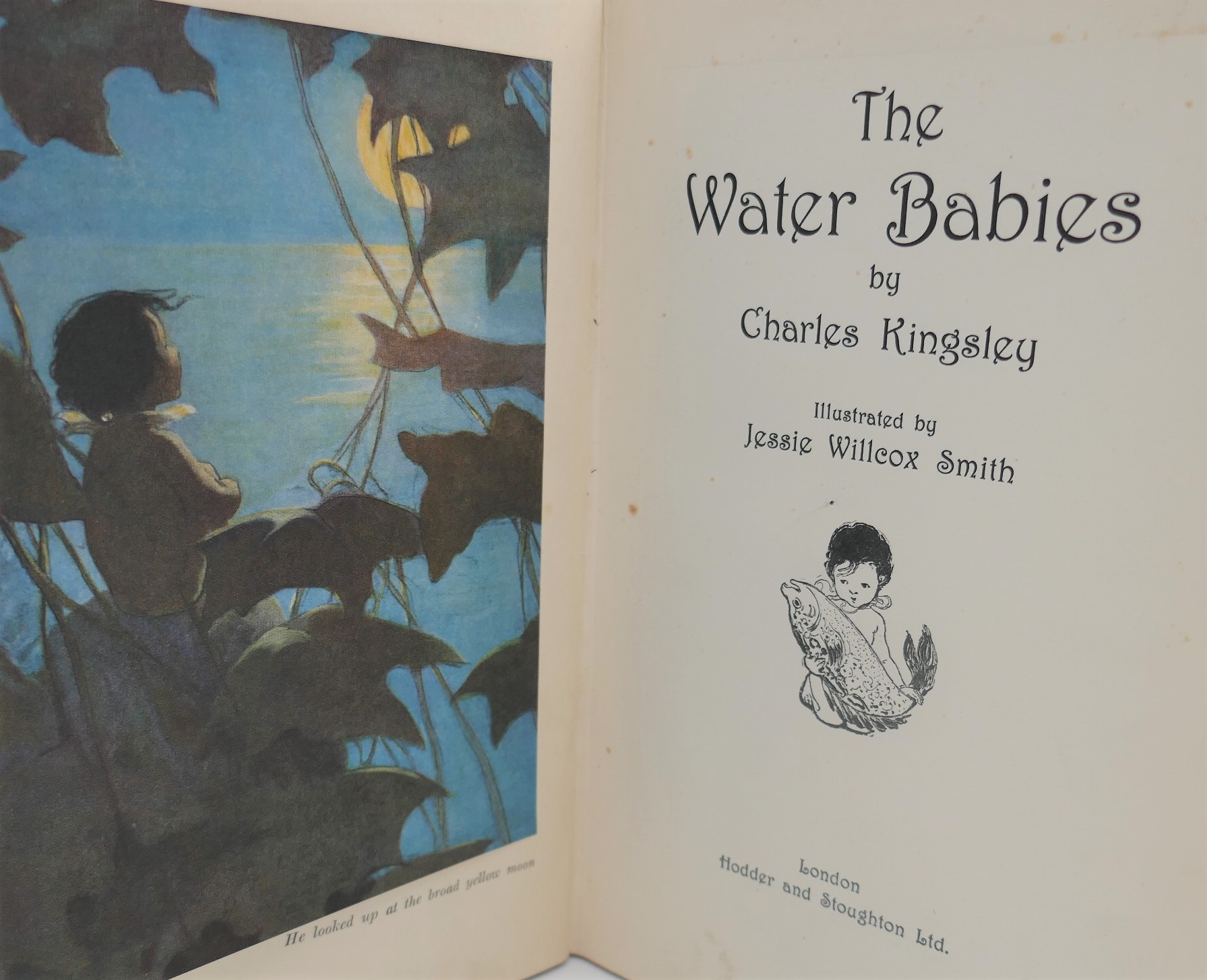 The Water Babies. Illustrated by Jessie Willcox Smith (1924) - Image 2