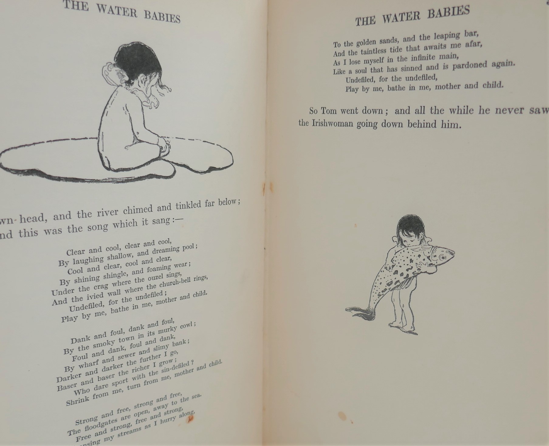 The Water Babies. Illustrated by Jessie Willcox Smith (1924) - Image 7