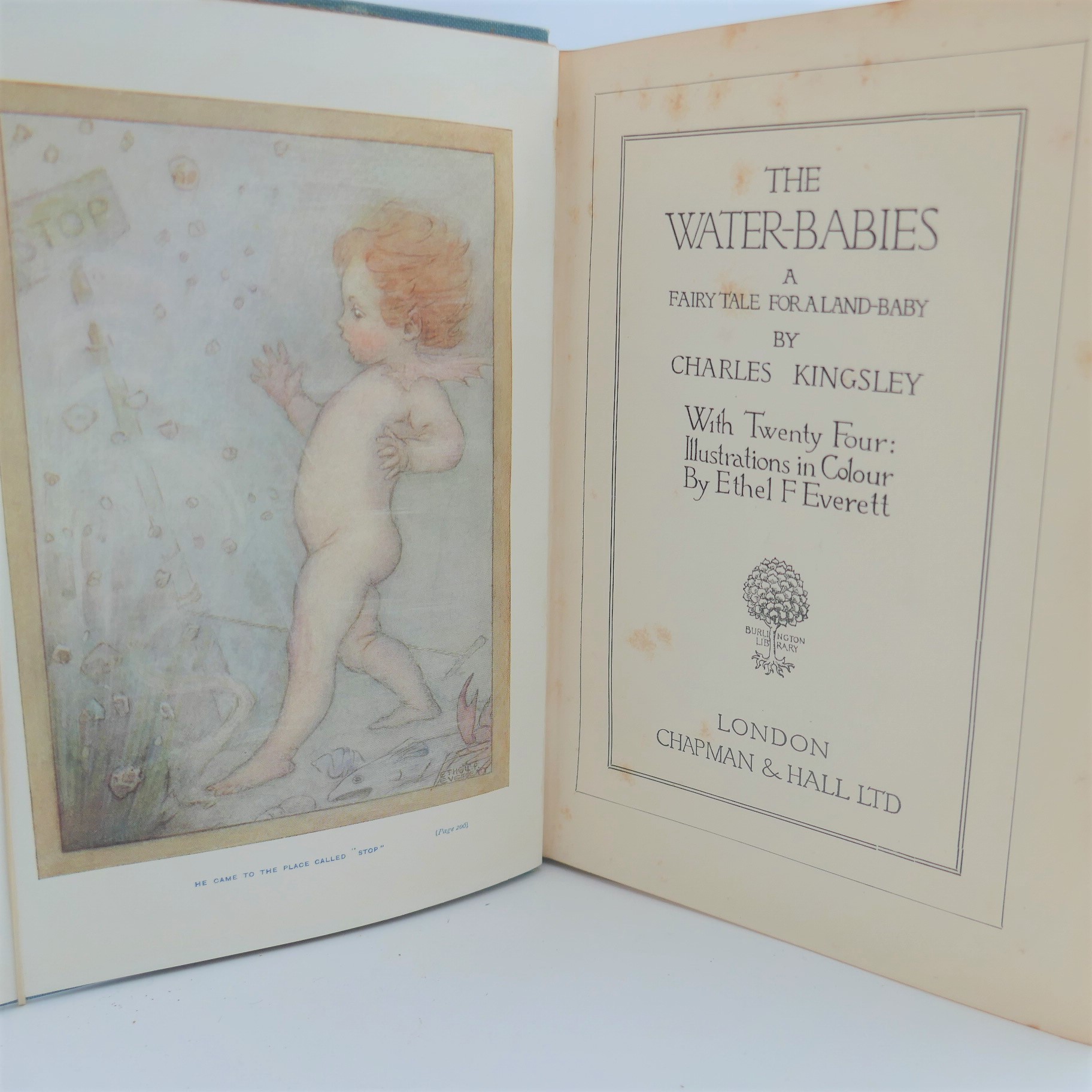 The Water-Babies. Illustrated By Ethel F. Everett (1910) - Image 3