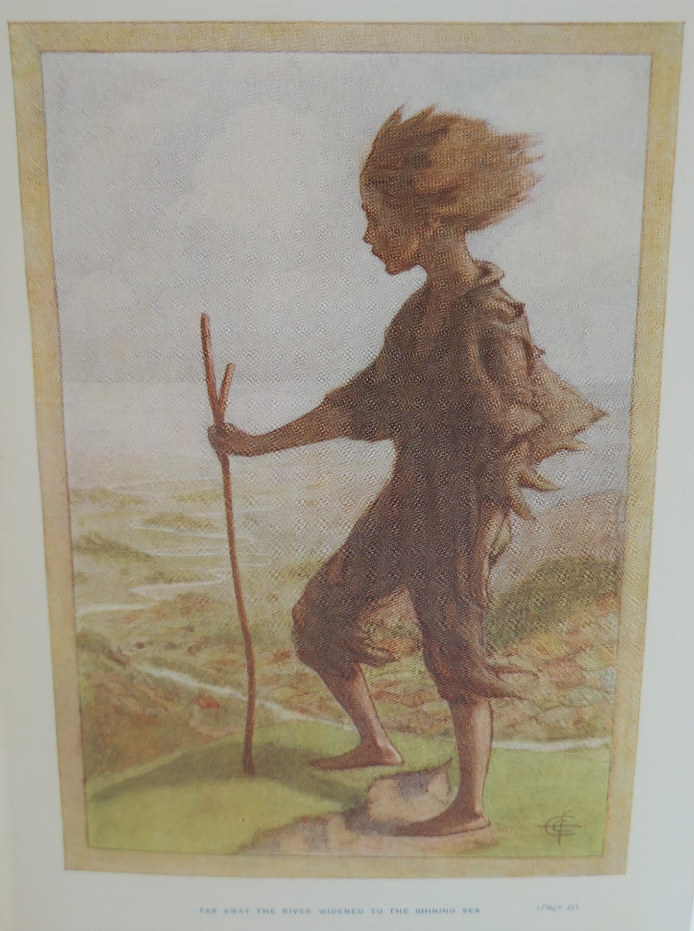The Water-Babies. Illustrated By Ethel F. Everett (1910) - Image 4