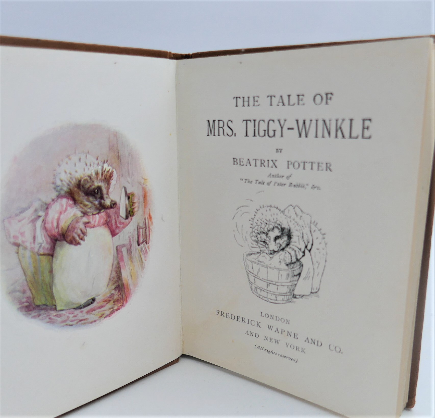 The Tale of Mrs Tiggy-Winkle (1908) - Image 3