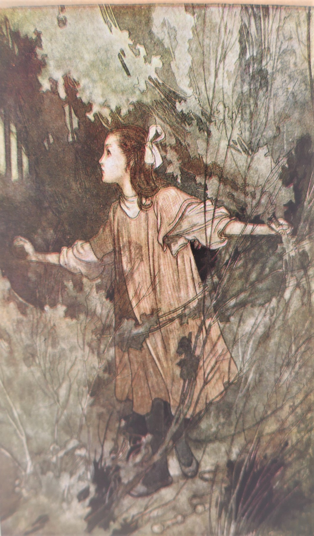 The Secret Garden. Illustrated By Charles Robinson (1938) - Image 5