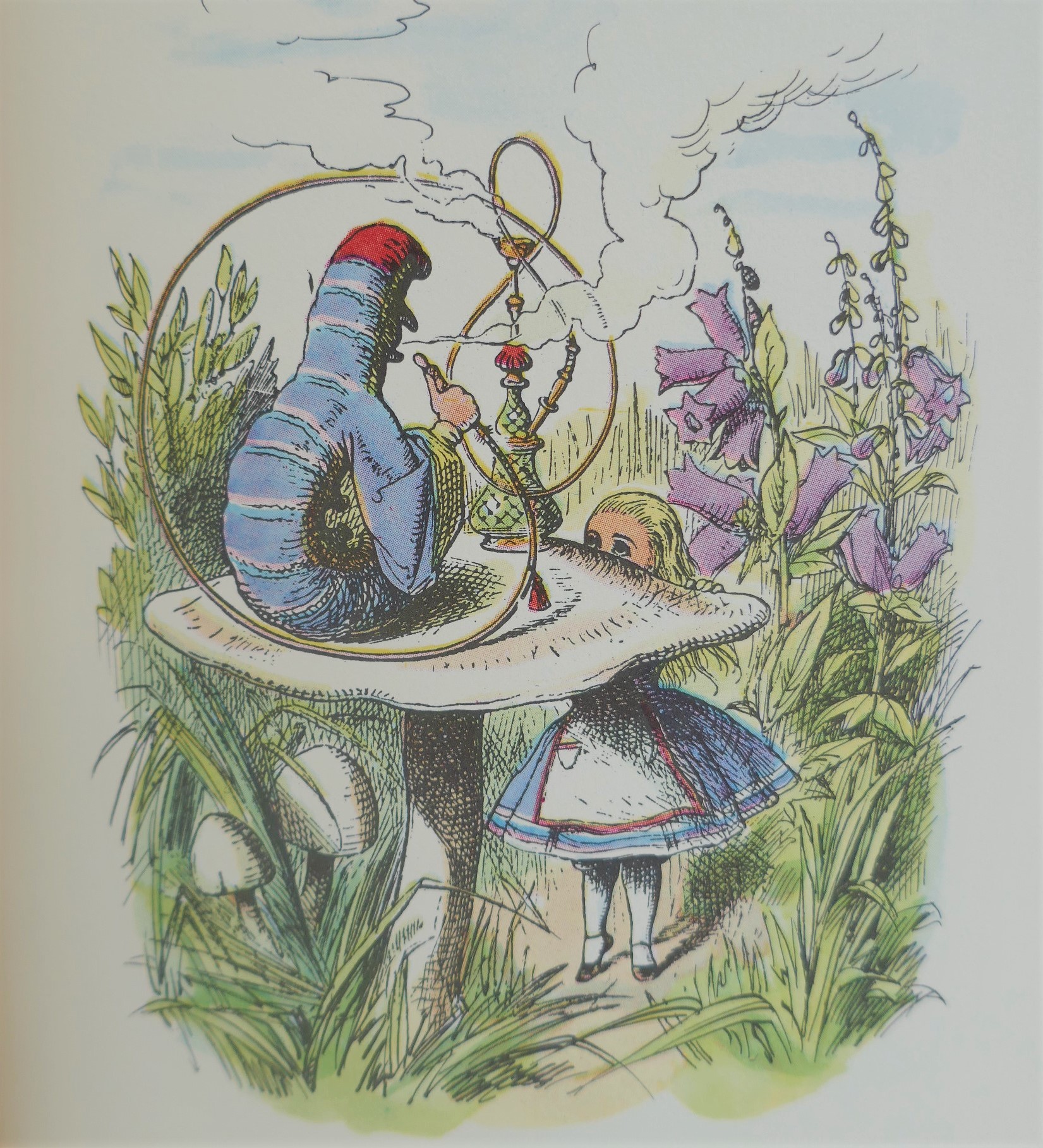 Alice in Wonderland & Through The Looking Glass. Illustrated Junior Library (1978) - Image 4