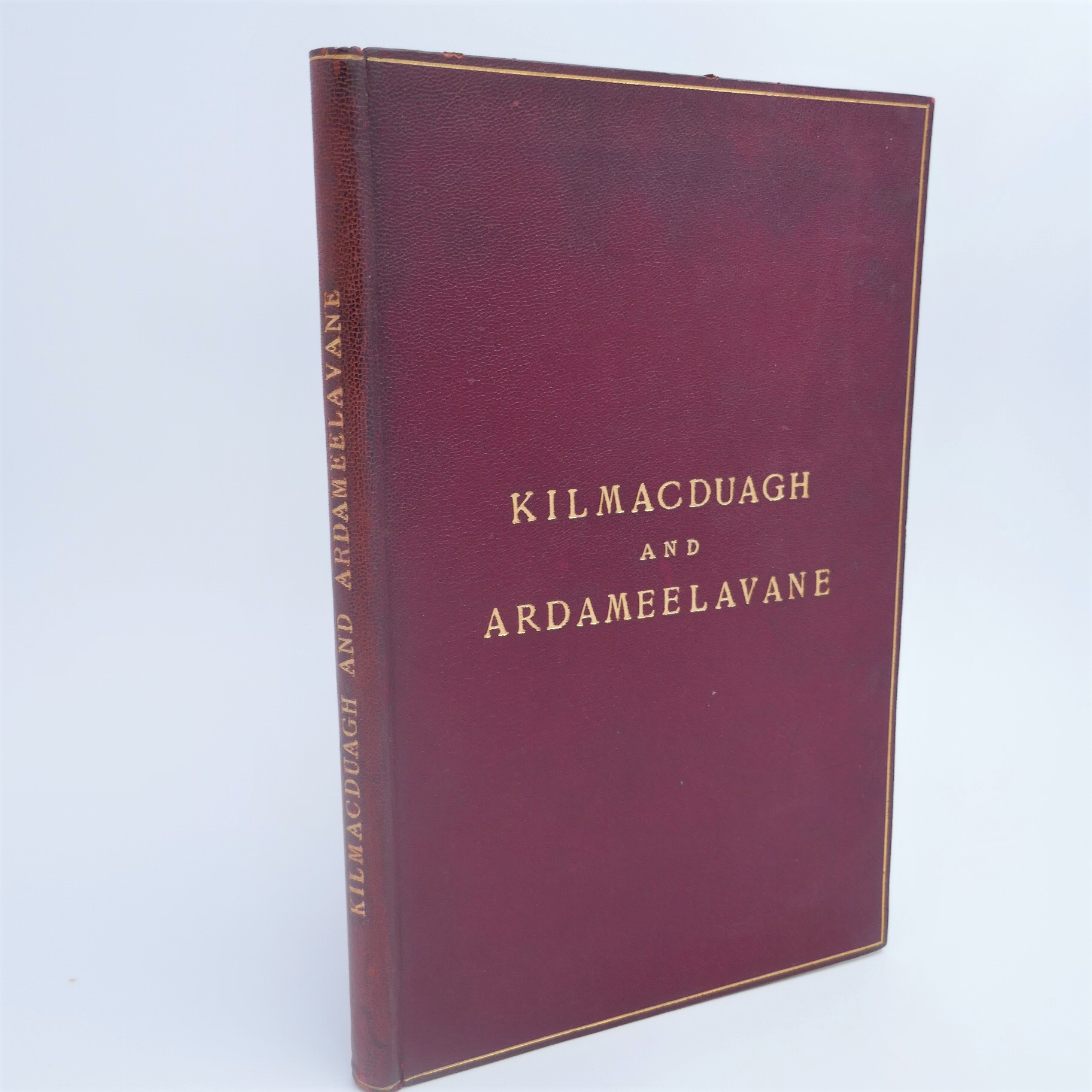 The History and Antiquities of the Diocese of Kilmacduagh (1893) - Image 6